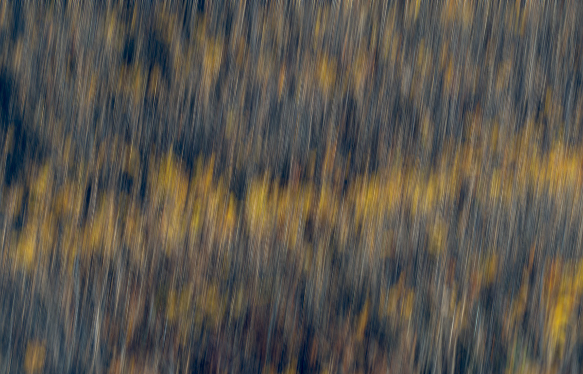 Golden Waves