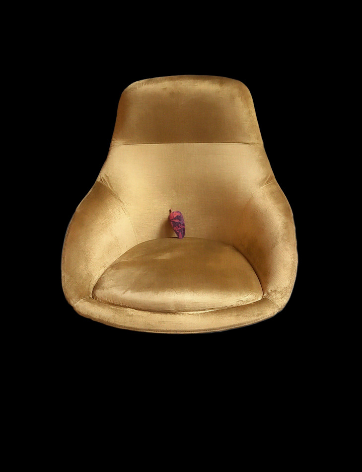 Tatooed Pepper in Golden Chair