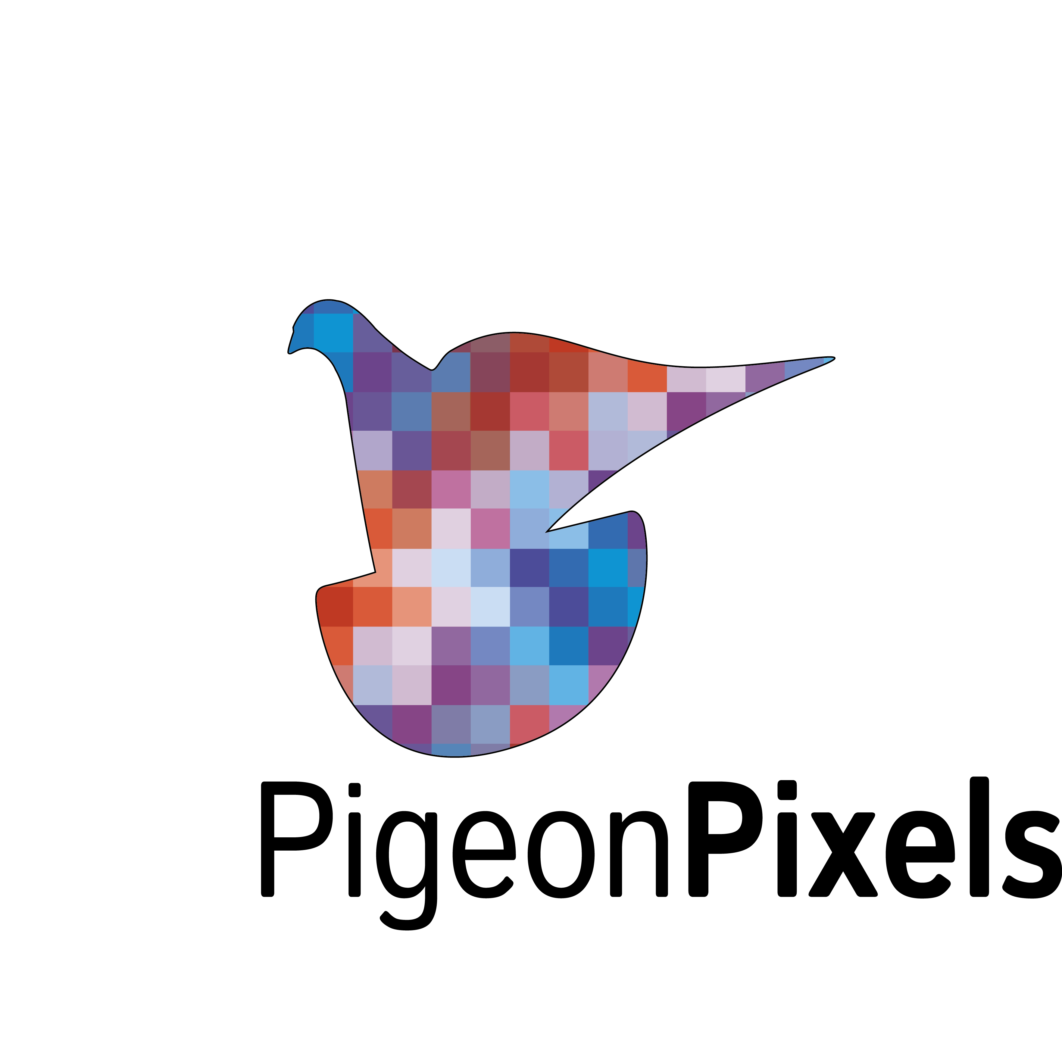 Pigeon Pixels