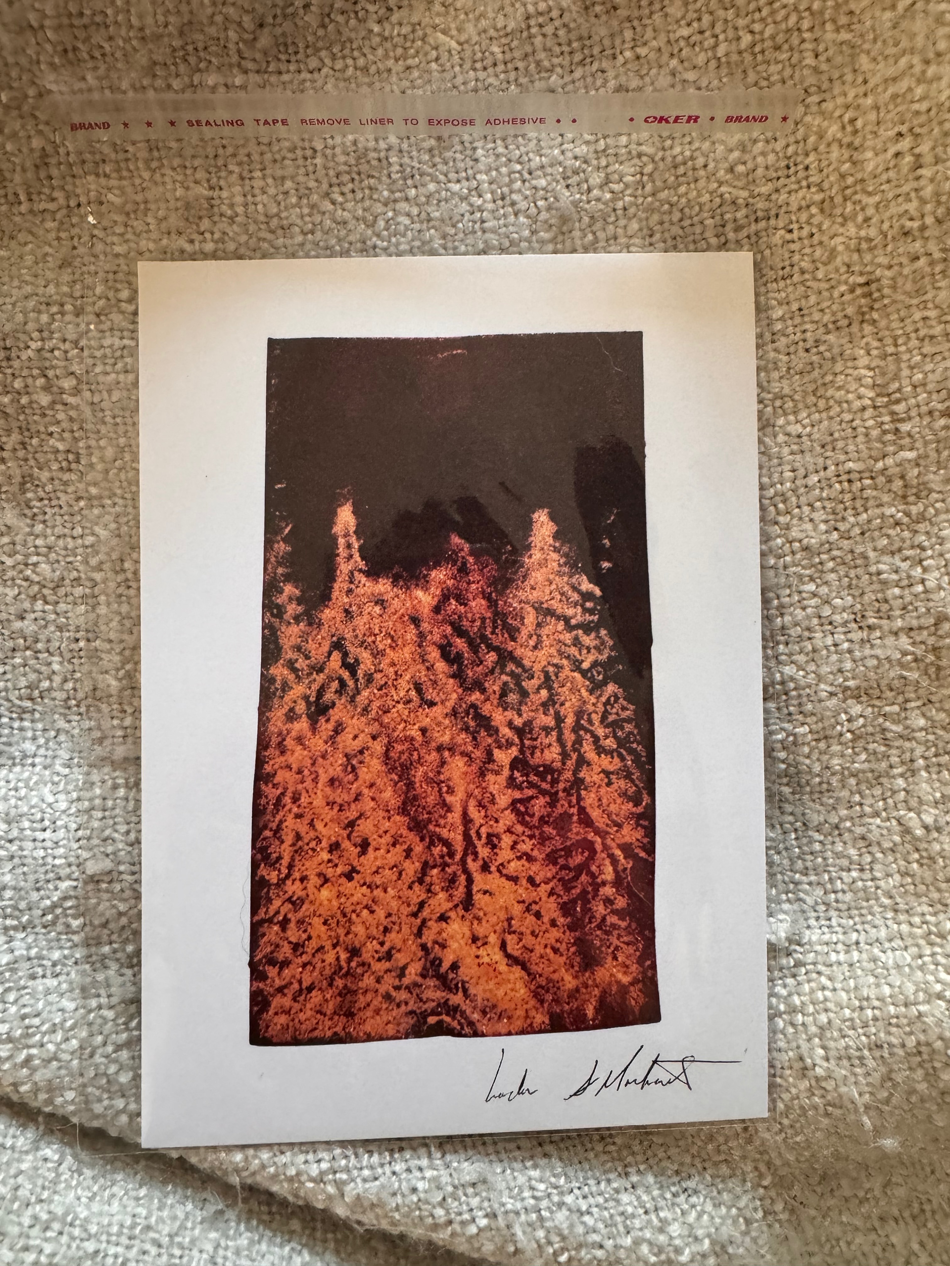 forest: 5x7" print or greeting card, also available as custom sized prints. Made with turmeric and baking soda on watercolor paper.