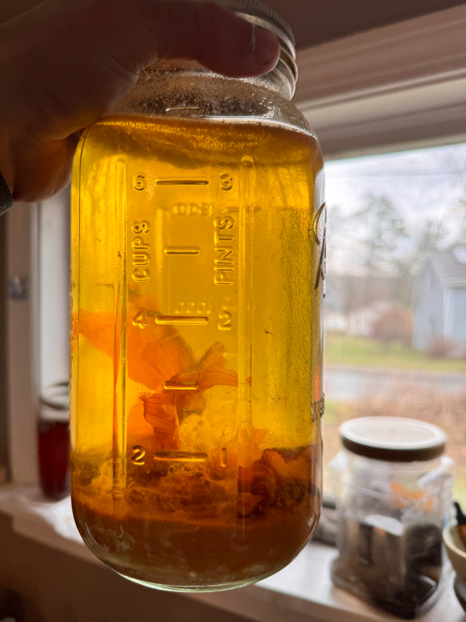 onion-based dye bath with pigment sediment ready for separating