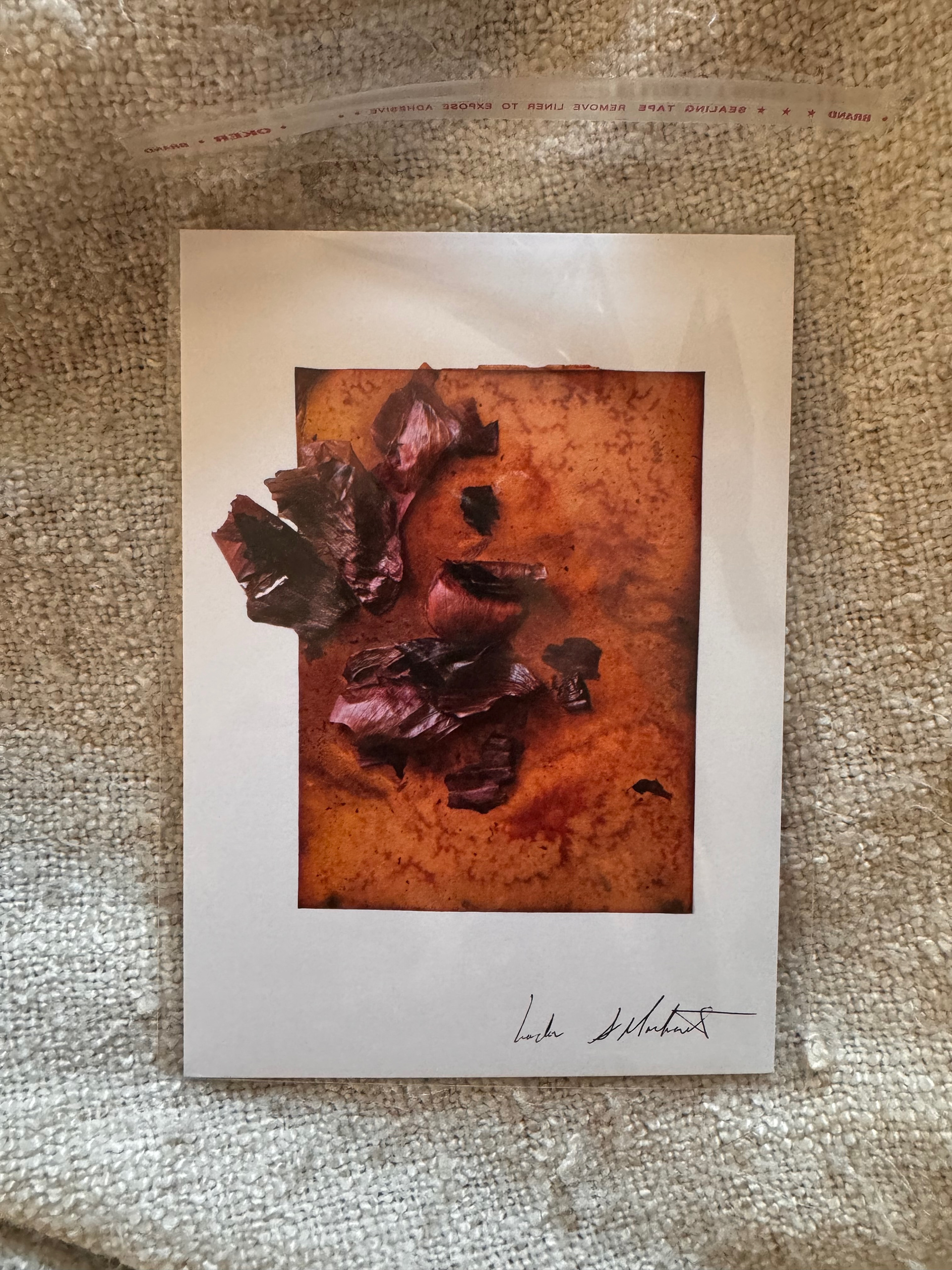 Friends: 5x7" print or greeting card. Original made with onion skins from Caretaker and Red Shirt Farms. Also available as custom sized print.