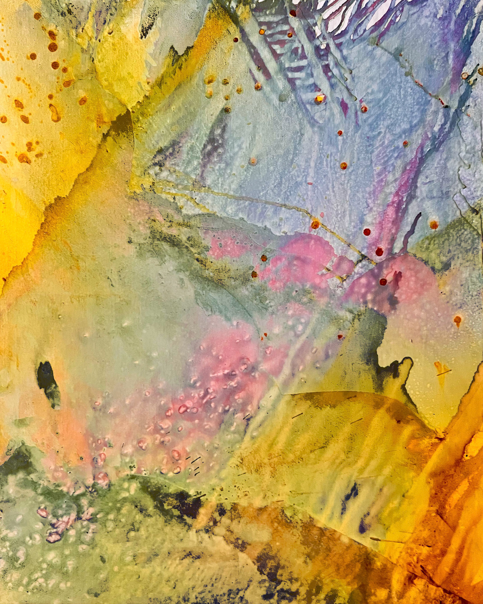 turmeric, hibiscus, & grape on canvas