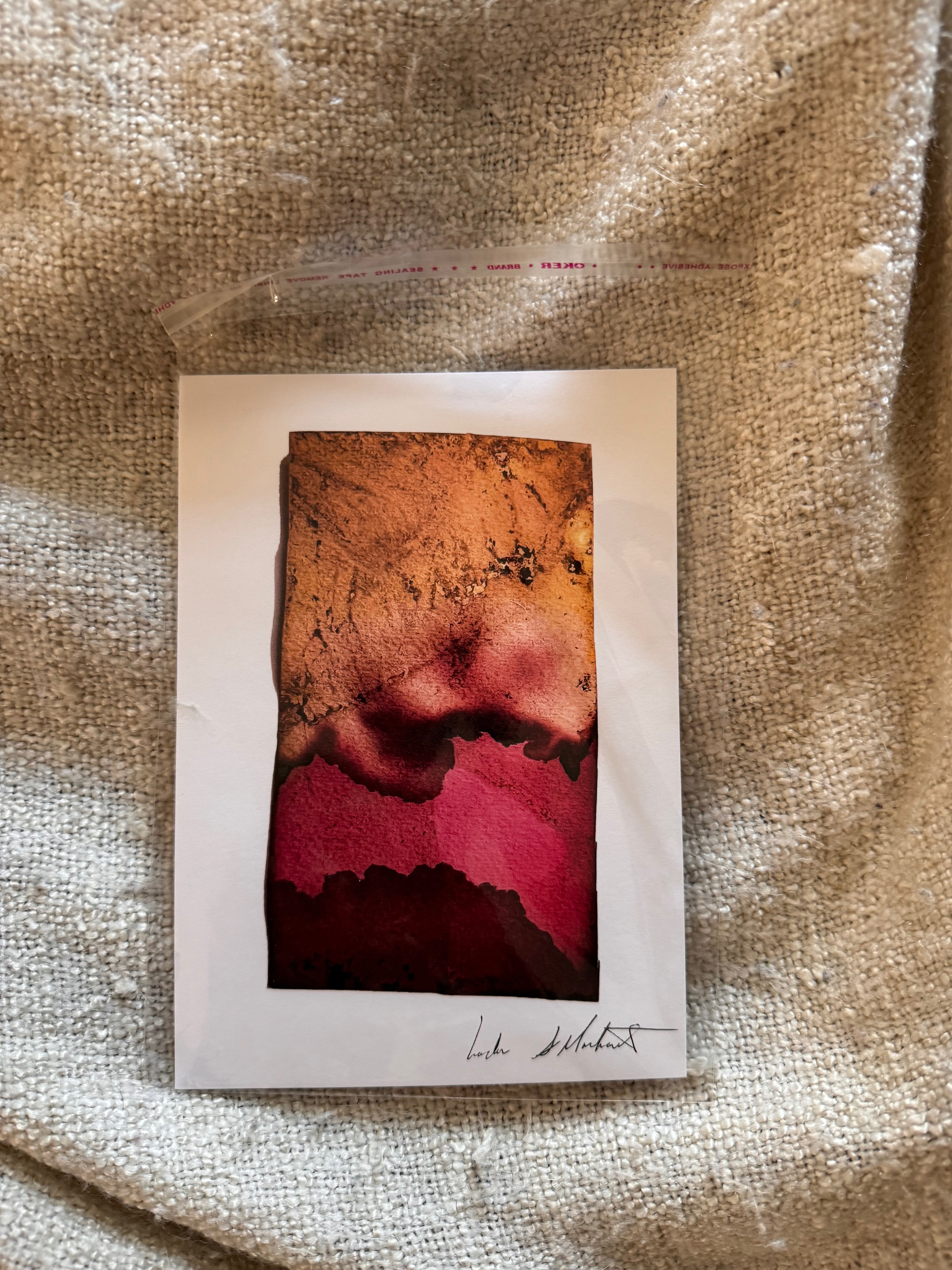print: turmeric, wild grape, & hibiscus print: 5x7" print or greeting card