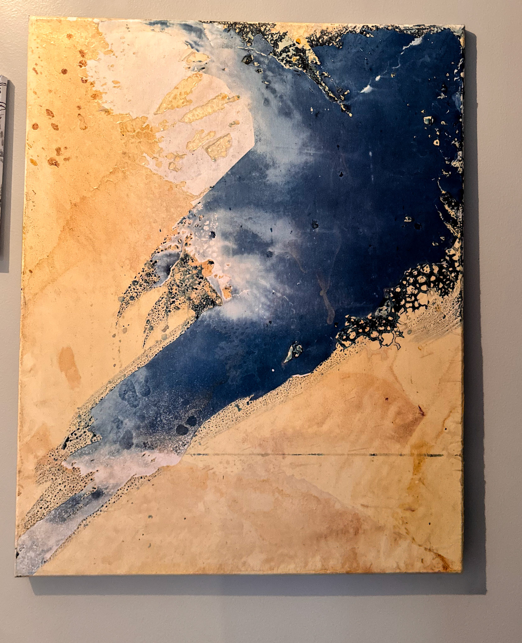 turmeric, onion & cyanotype on canvas