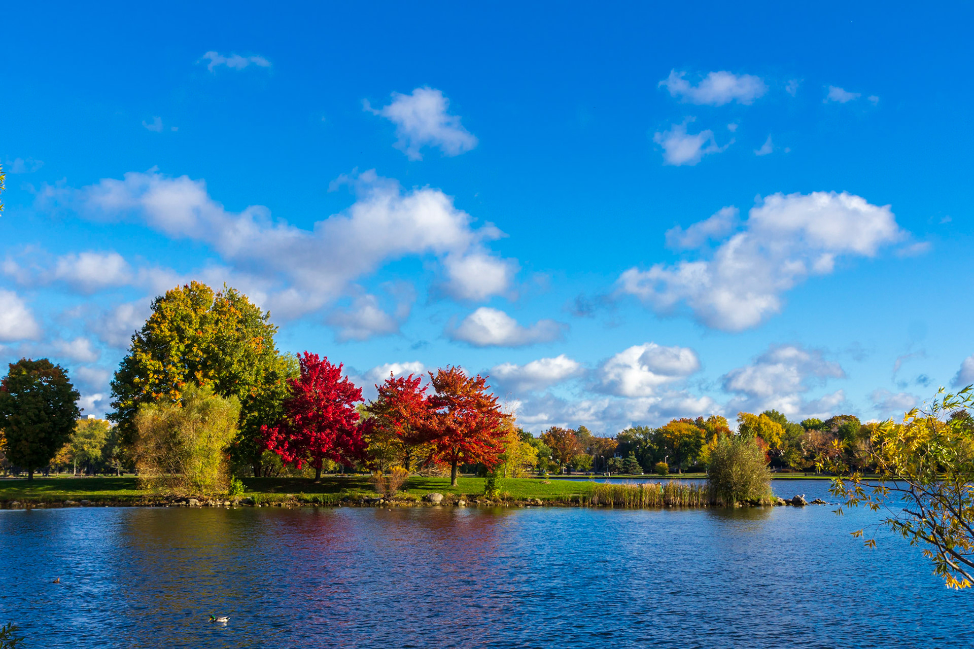 Fall at Daws lake