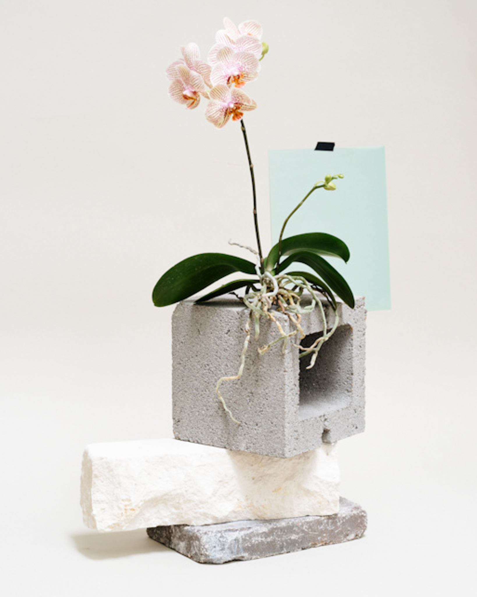 Styling : Erin Walsh | Photography: Kalan Briggs