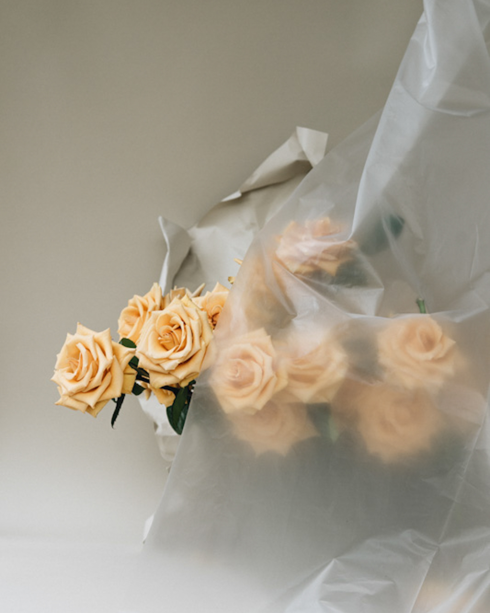 Styling : Erin Walsh | Photography: Kalan Briggs