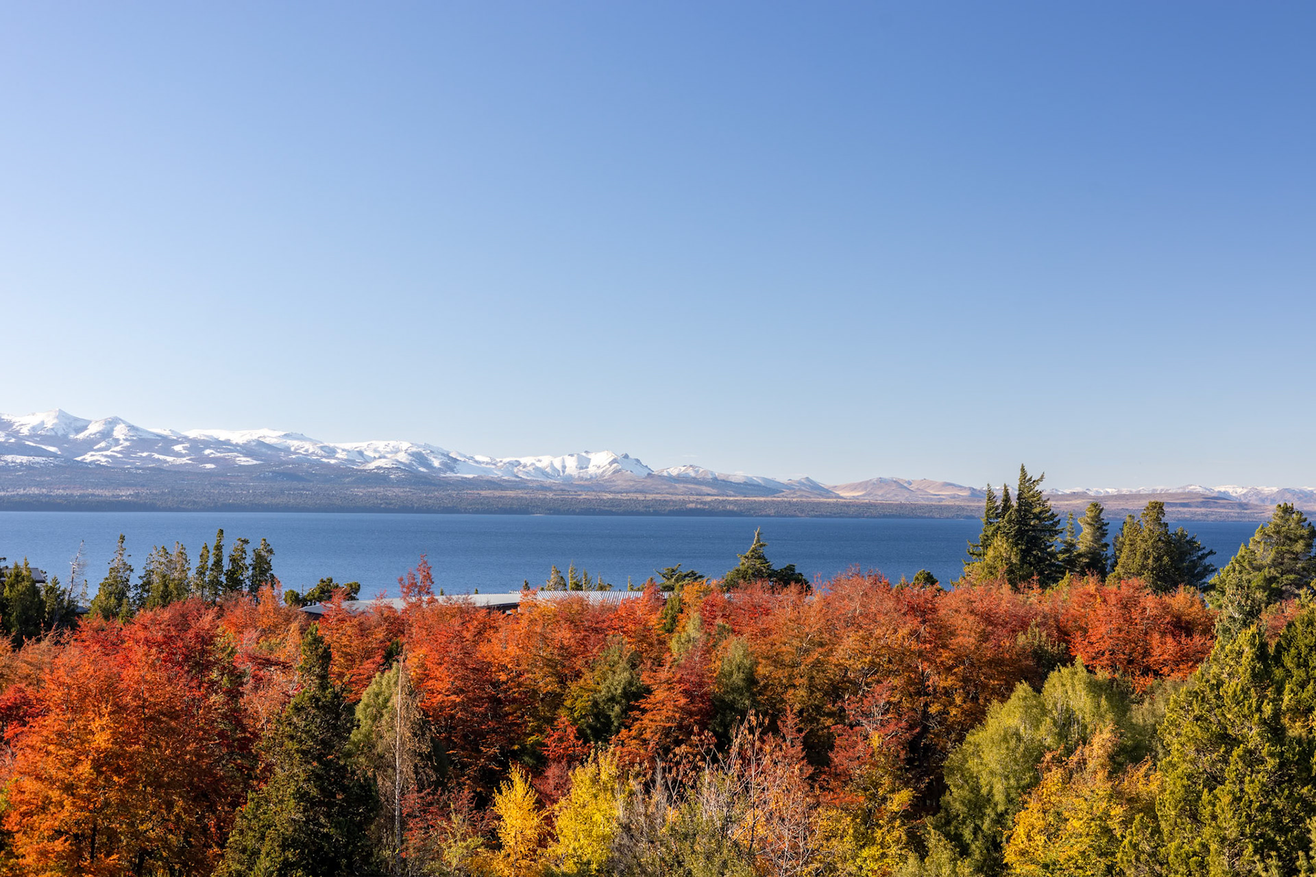 Vista Pro Studio: Servicio de fotografia profesional inmobiliaria.