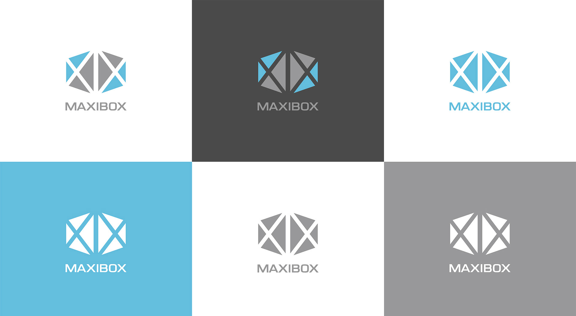 Logo pionowe Maxibox w kolorach firmowych. Branding Magda Kowalska creepart.
