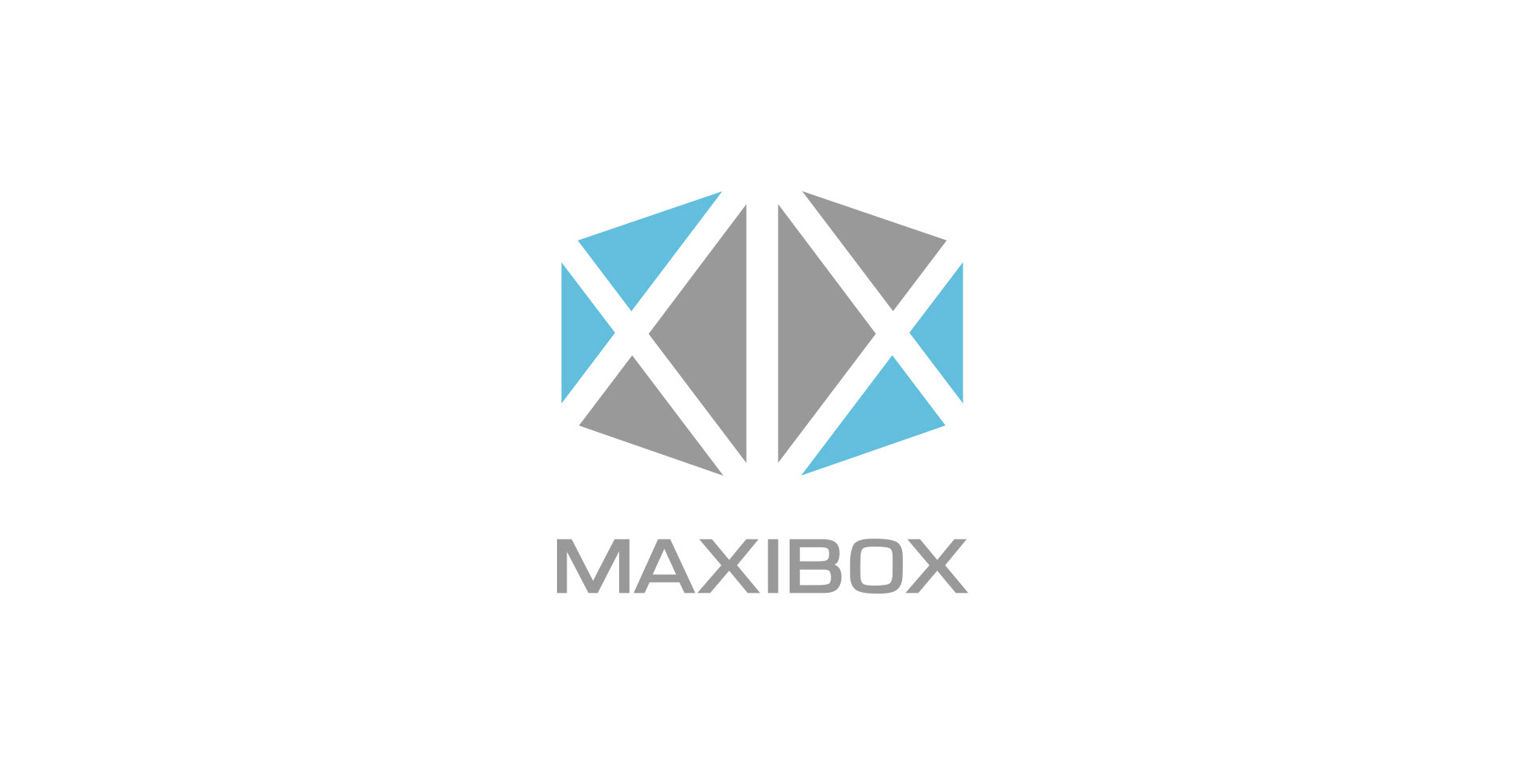 Projekt logo dla Maxibox – systemu efektywnego przechowywania i wyposażenia garażu, identyfikacja wizualna, creepart.