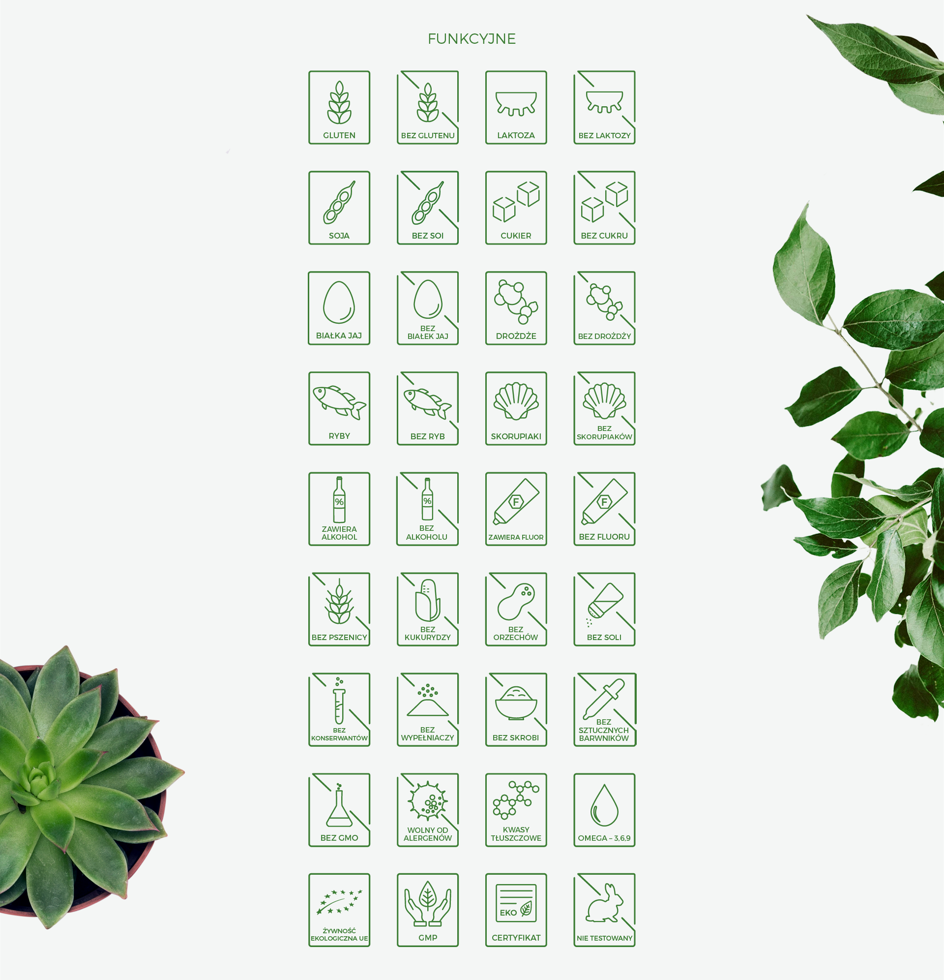 Zestaw 94 autorskich ikon dla sklepu plantaMED.pl. Projekt Magda Kowalska creepart.