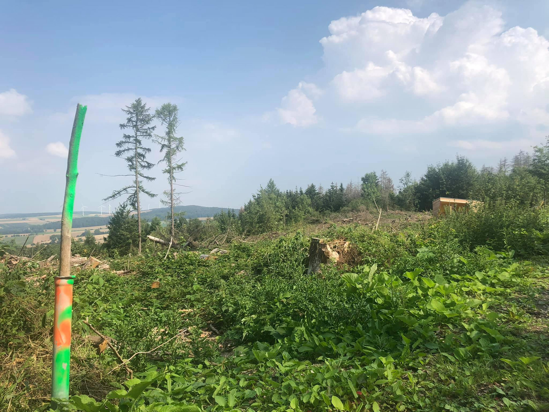 Site of Battle - Harzhorn