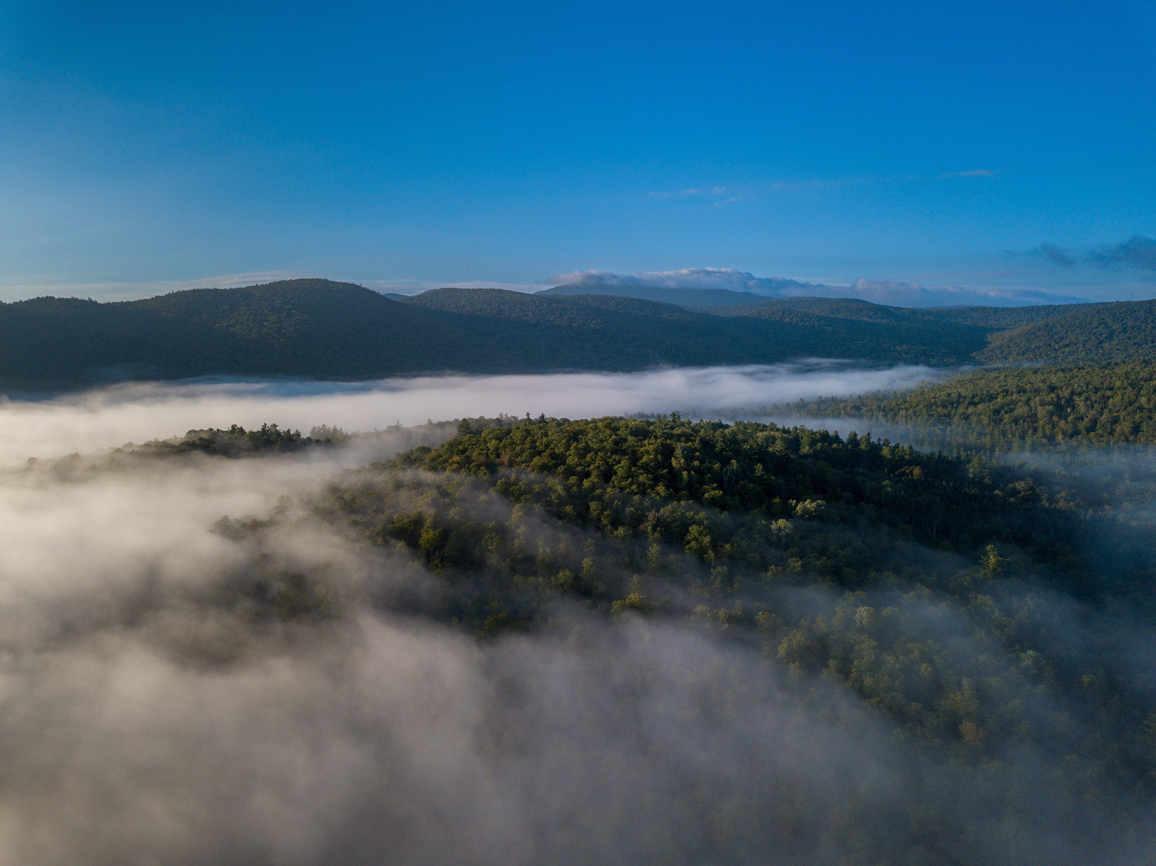 Foggy Hill