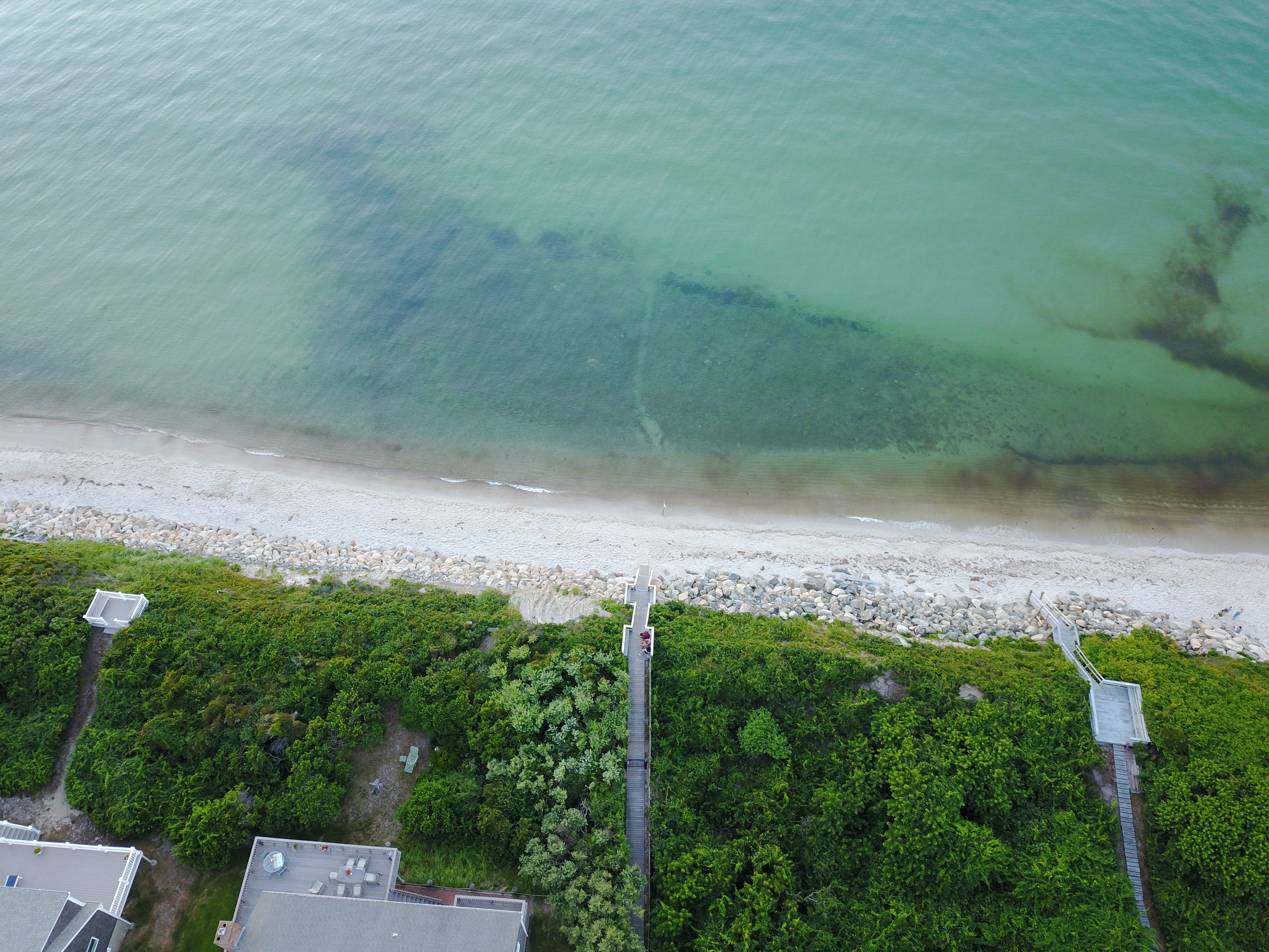 Beach Walkway (2018)