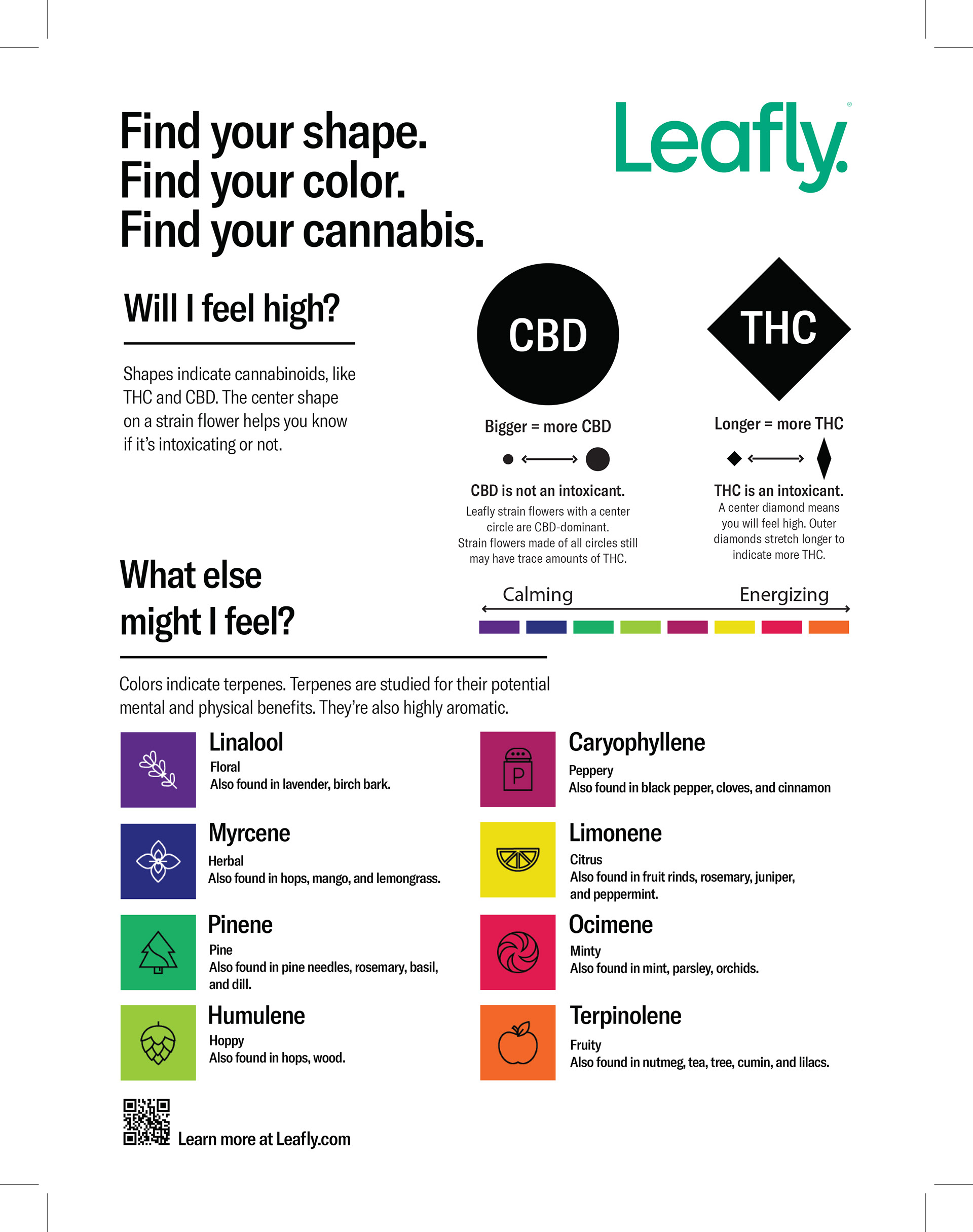 A downloadable companion for the novice cannabis consumer