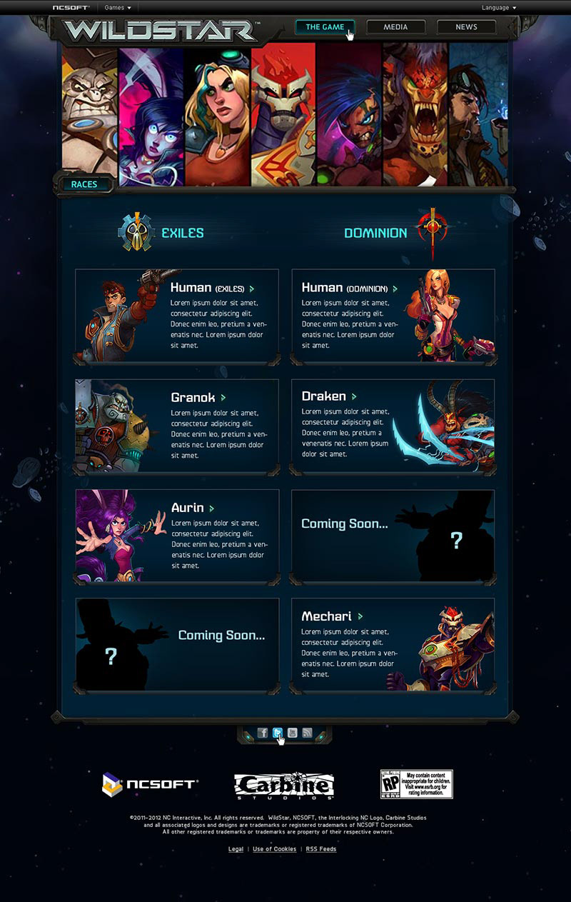 Website content pages