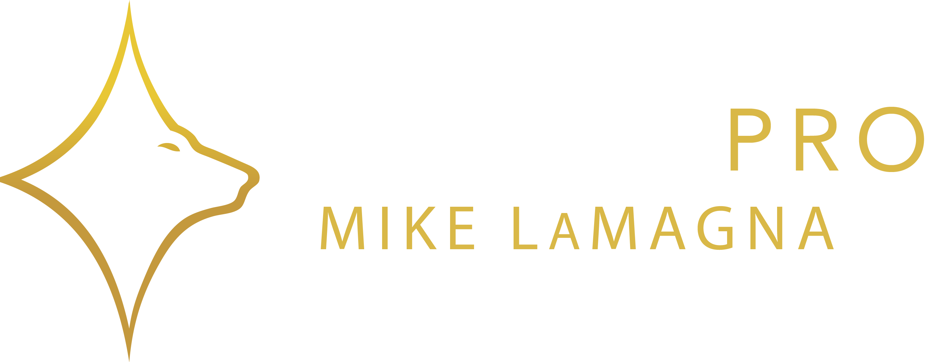 MagnaPro