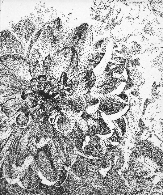 "Untitled" - Pen & Ink