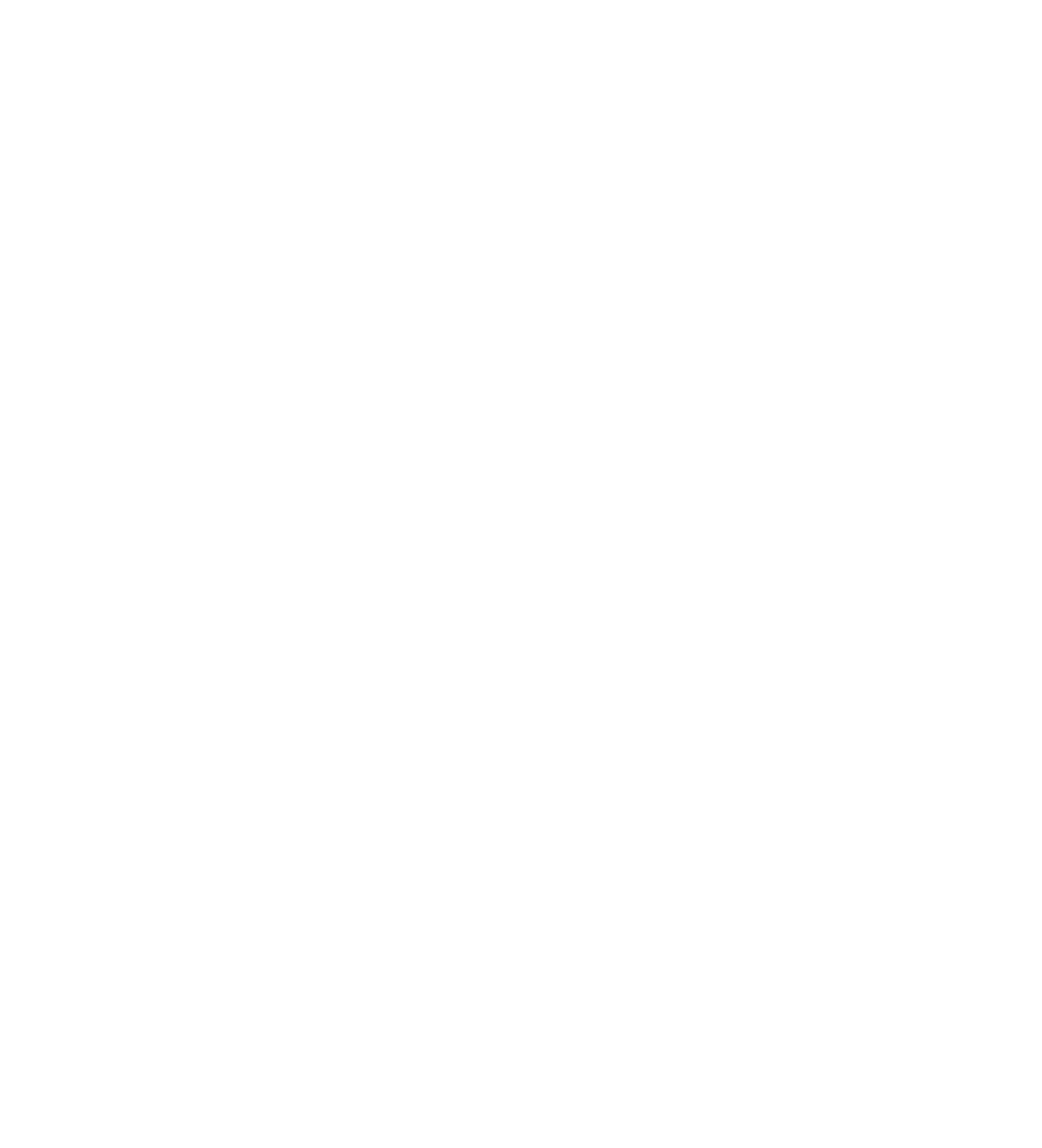 Daniel Matus Ferguson