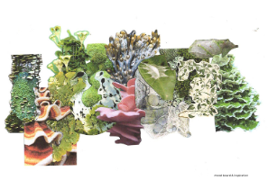 Mood board & inspiration collage