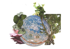 Collage of the 'new world'