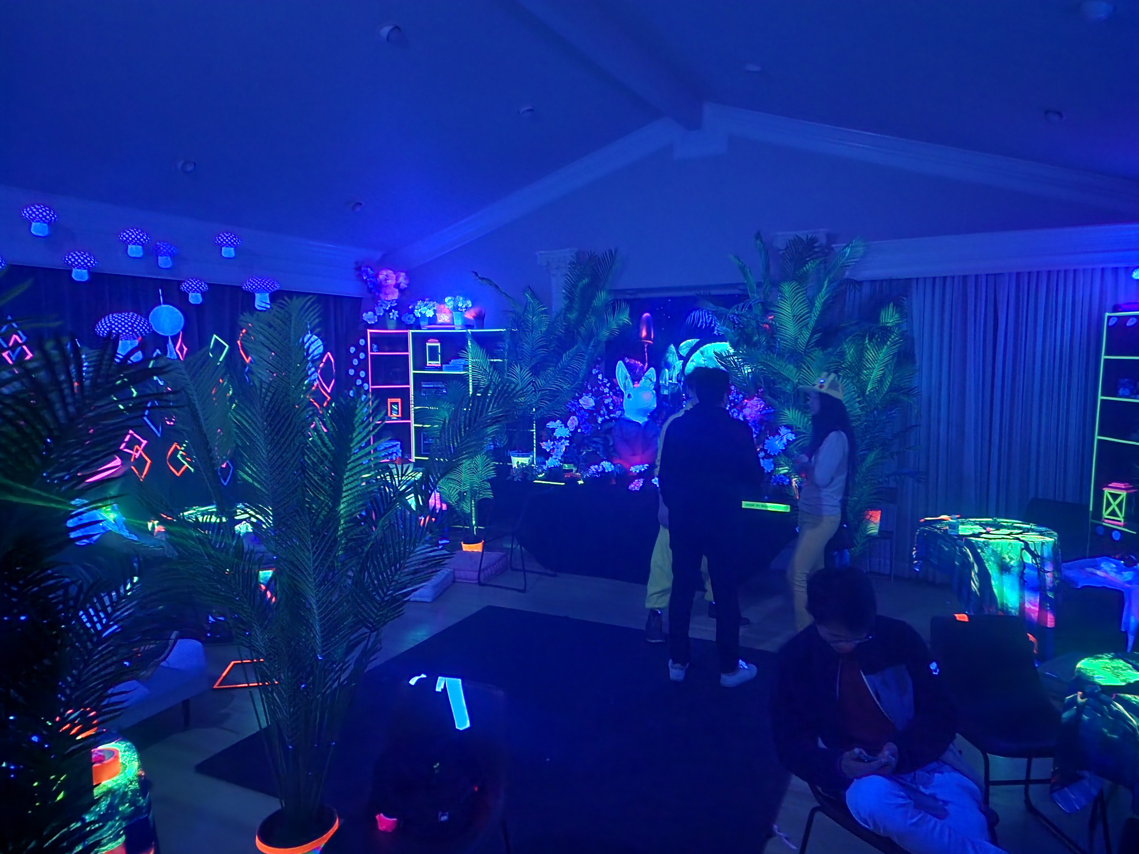 The neon rabbit room.
