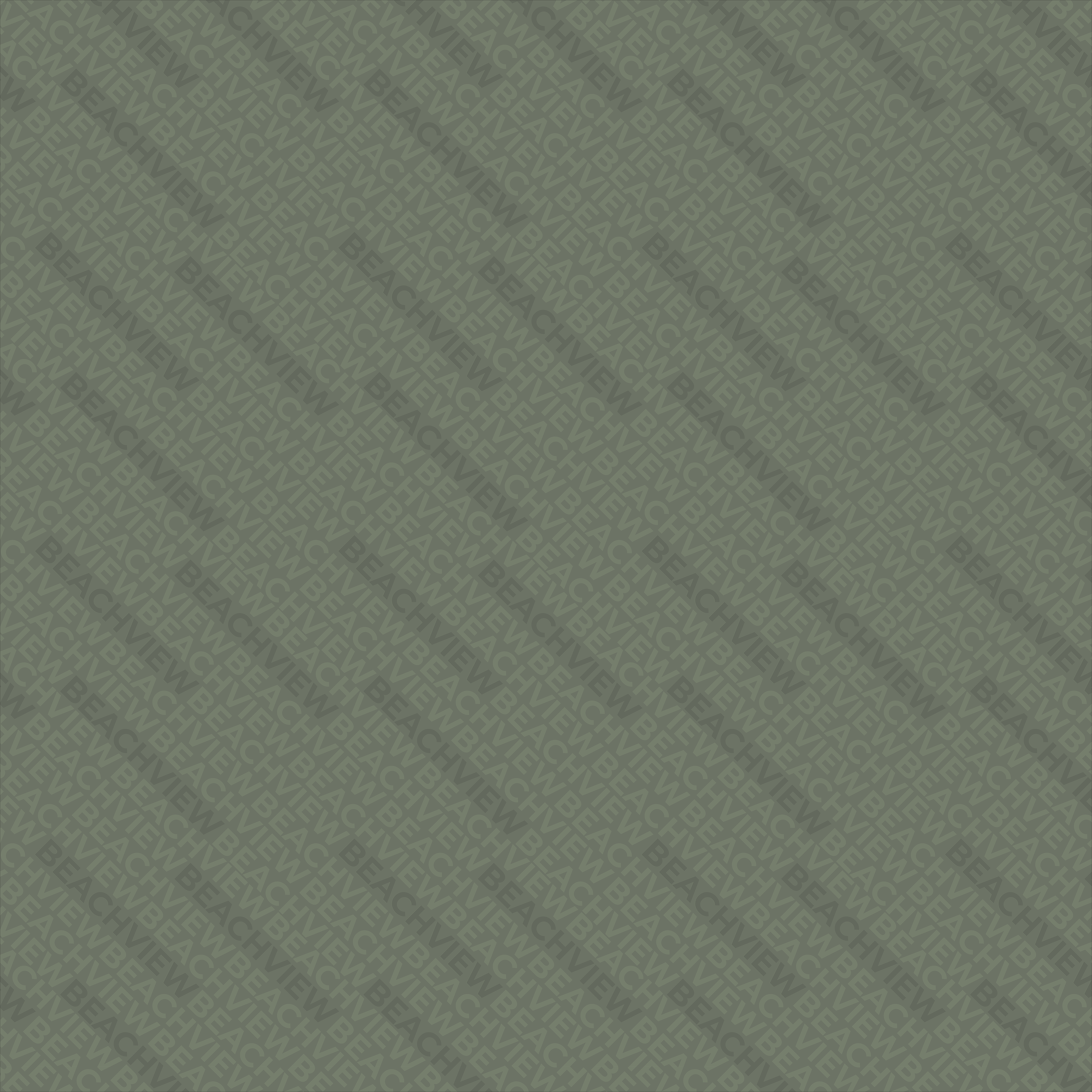 Client: Beachview Company