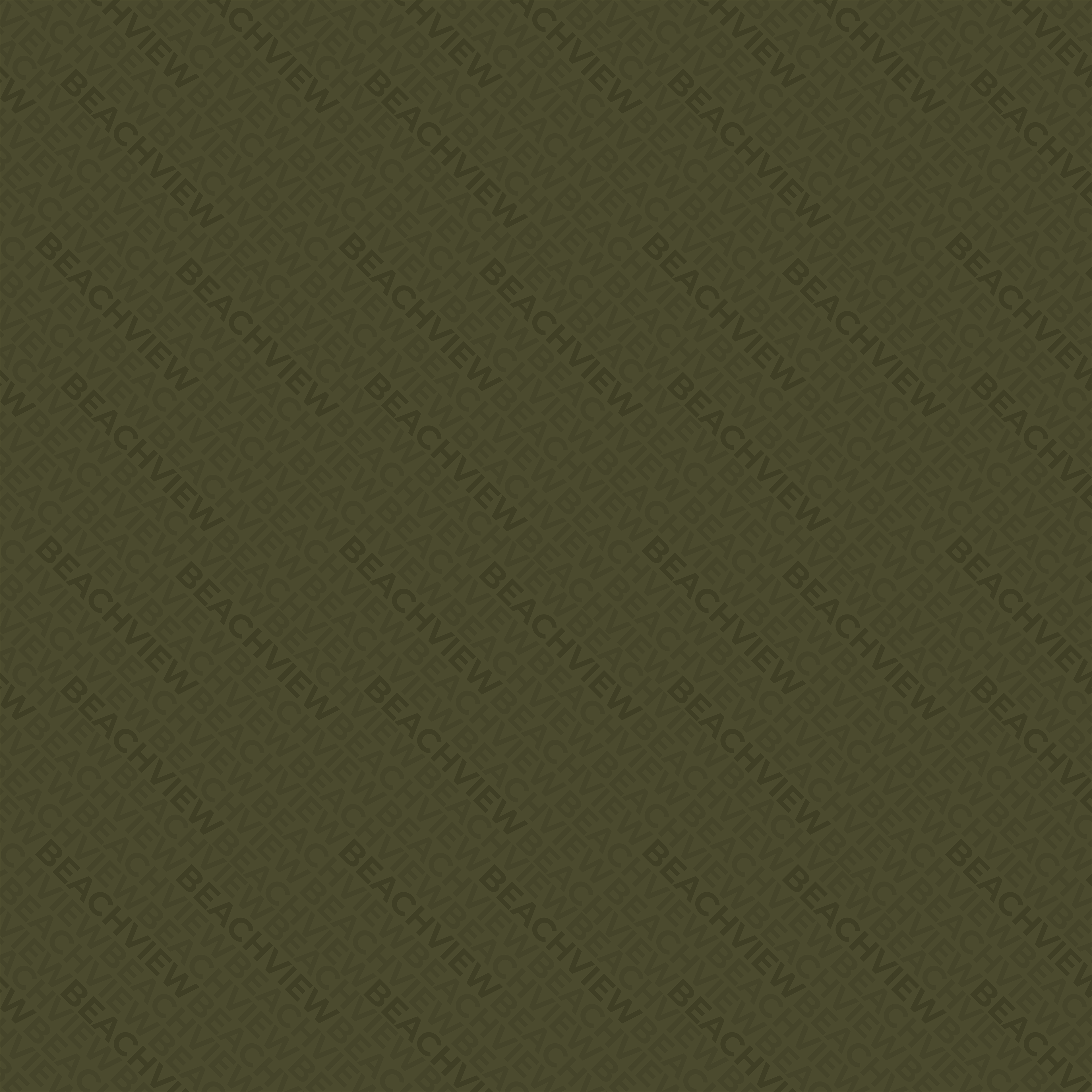 Client: Beachview Company