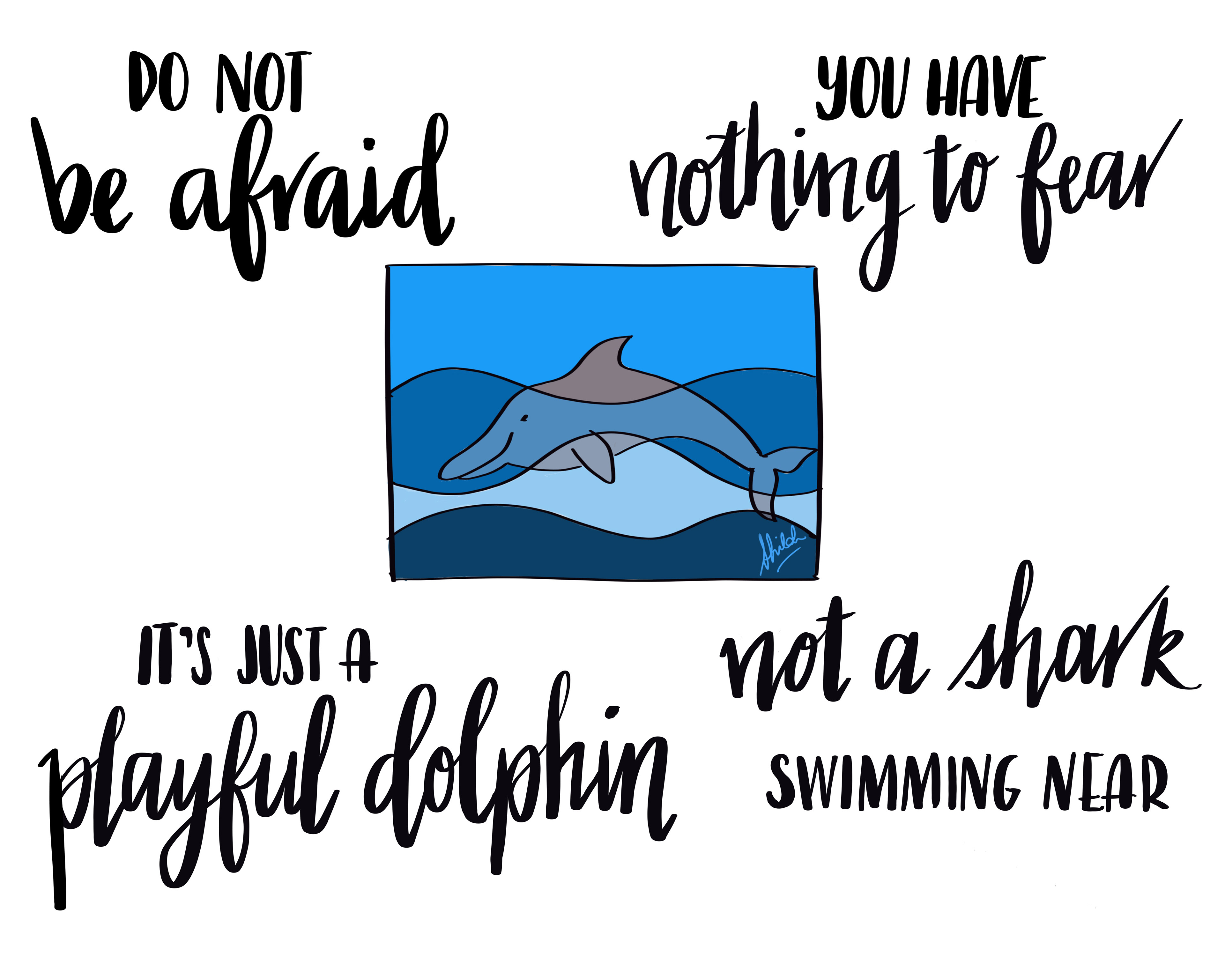 Dolphin Not a Shark | 2018