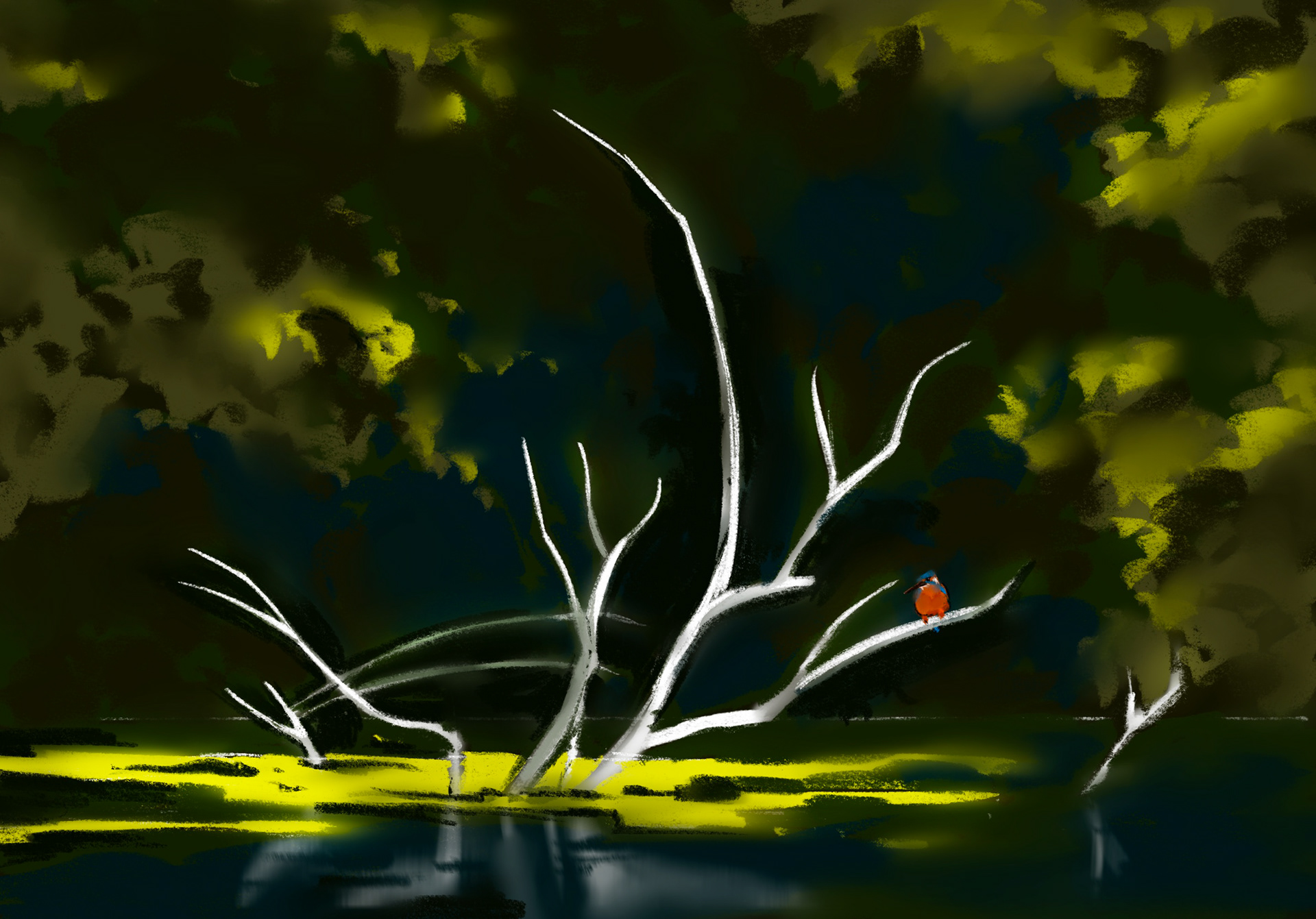decor study