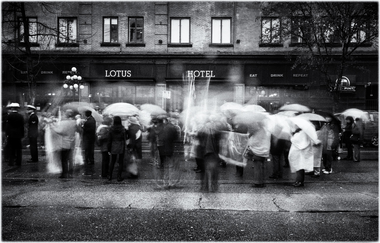 Umbrellas at Lotus Hotel PH2418a BW -9801