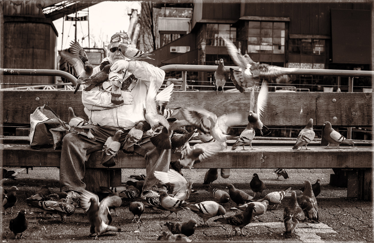 Bird lover pigeon feeding PH1946a BW -5922-3-6-9