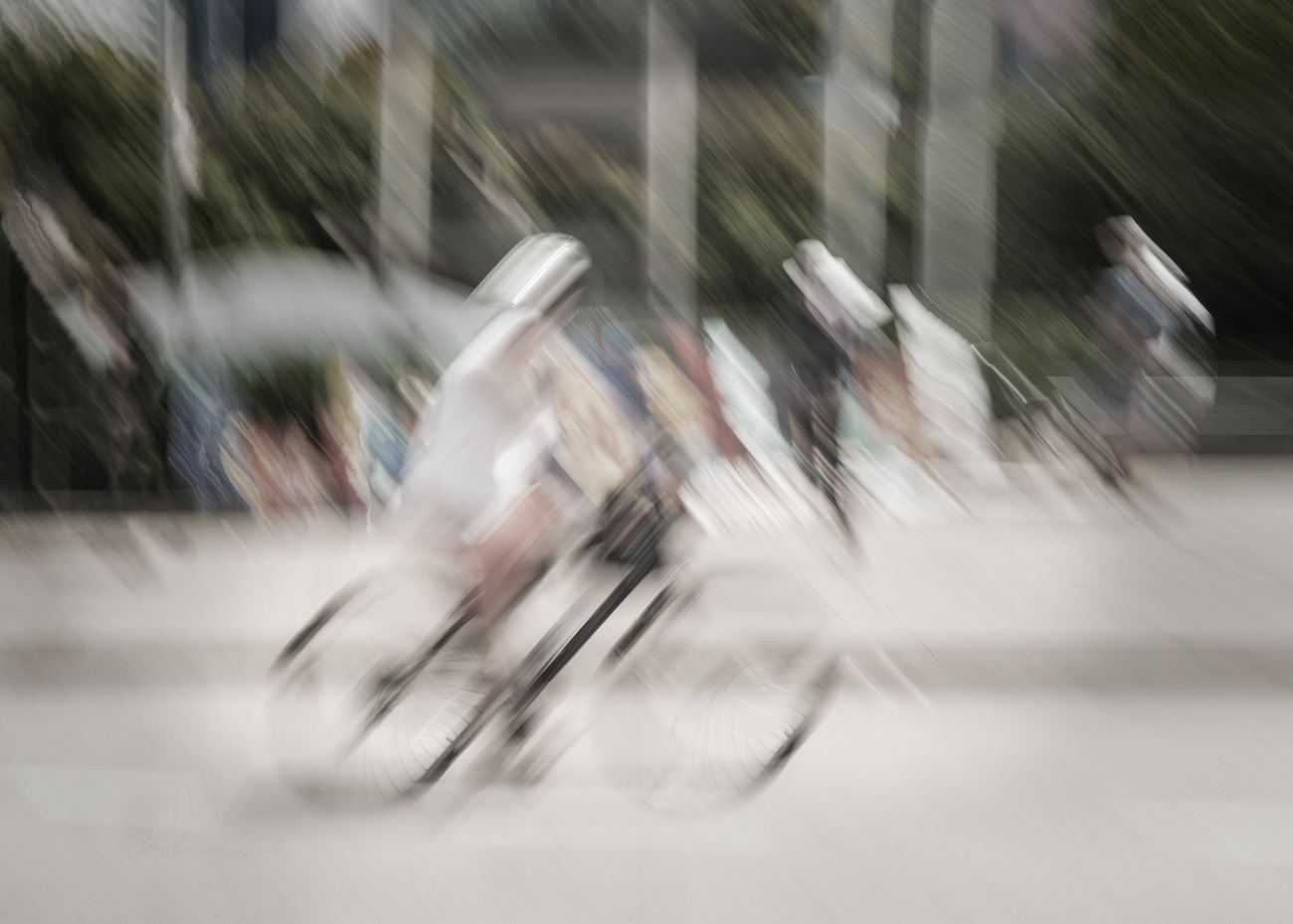 Bicycle Rider PH2801b Muted -4711