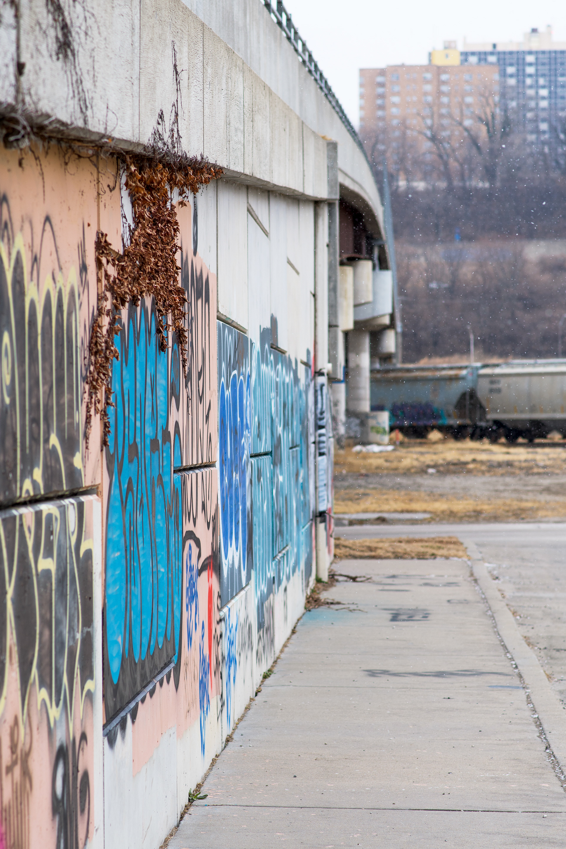 West Bottoms -- 2022