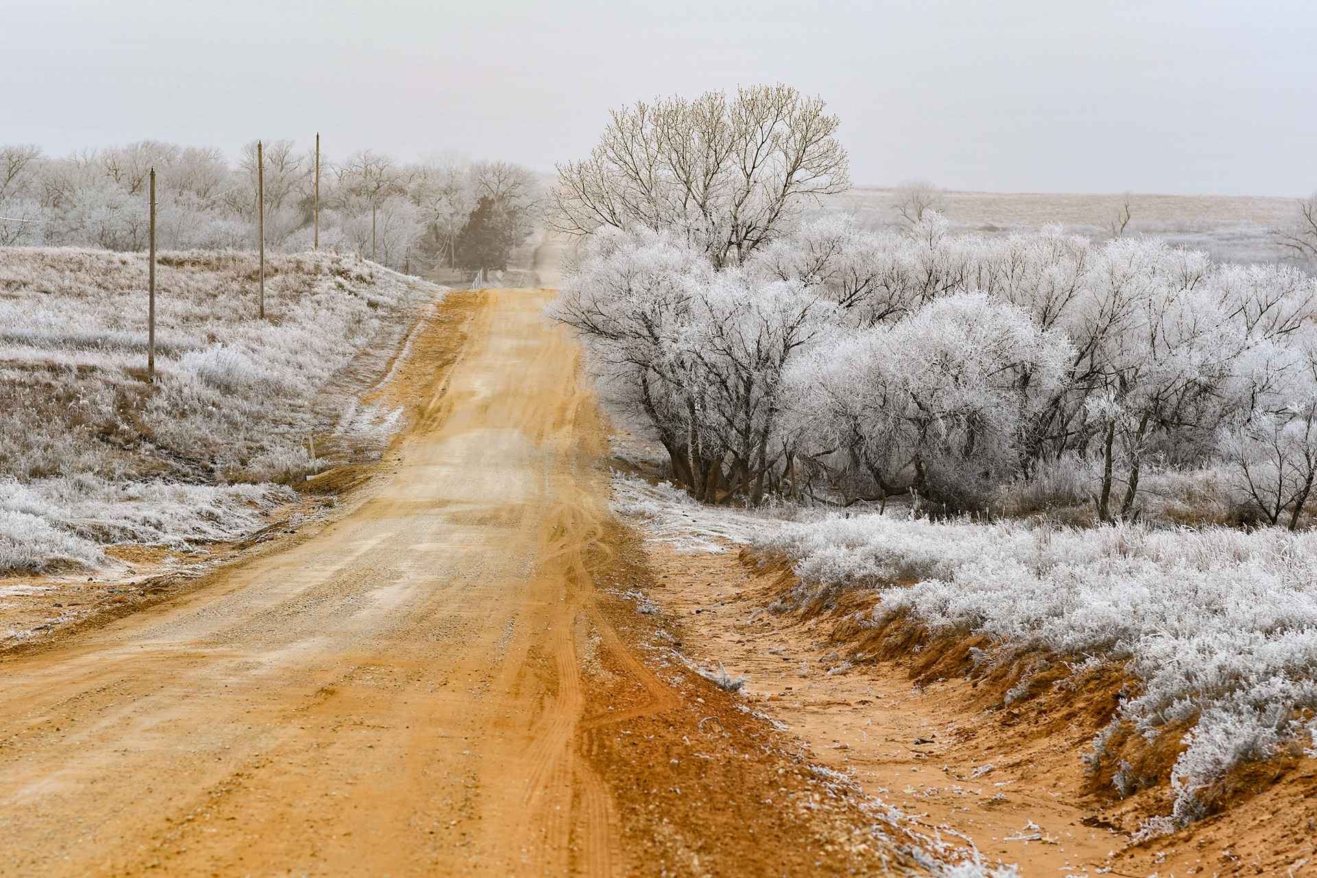 Maxwell Game Preserve: Winter Road -- 2021
