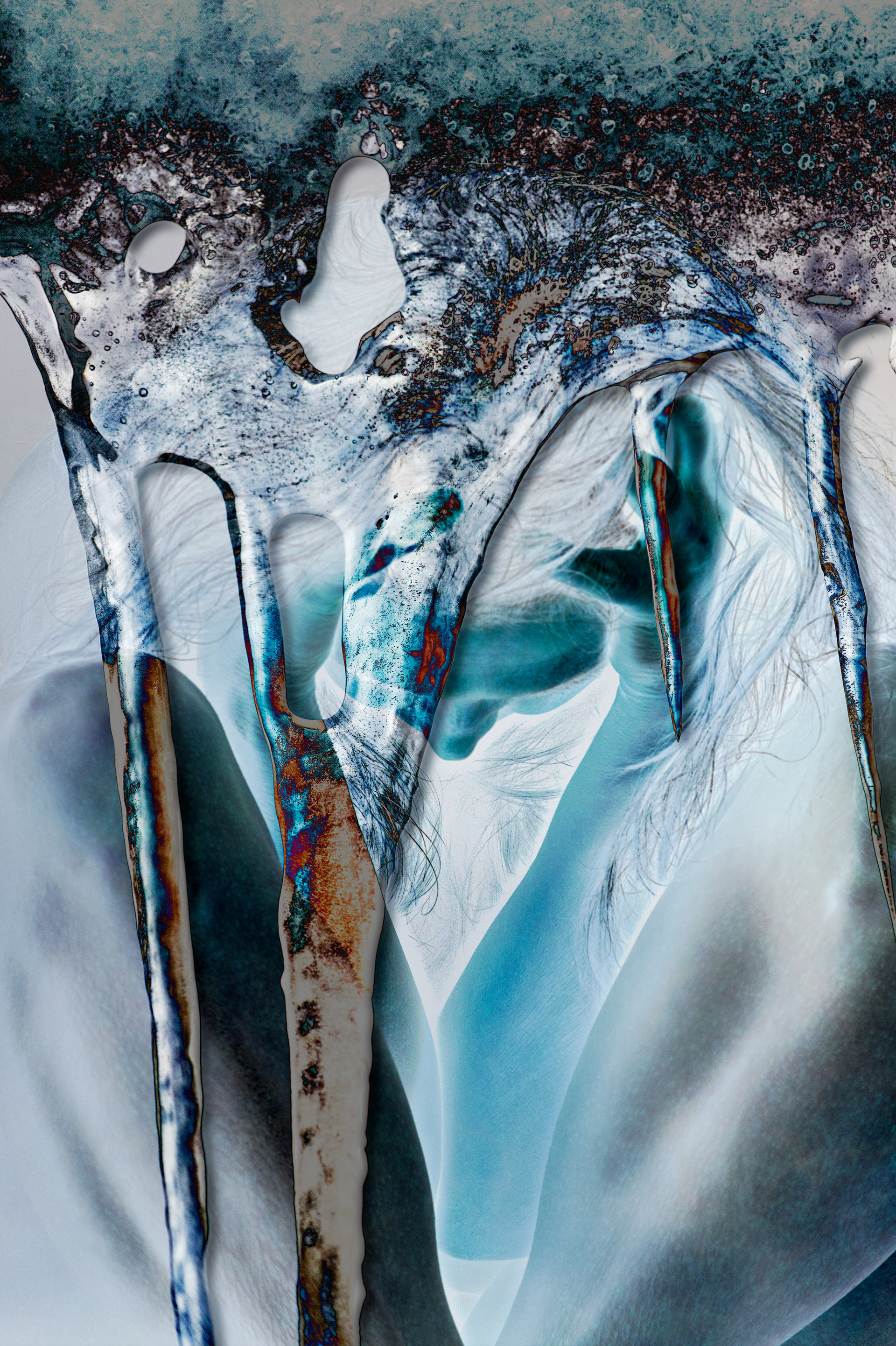 Iced In -- 2024