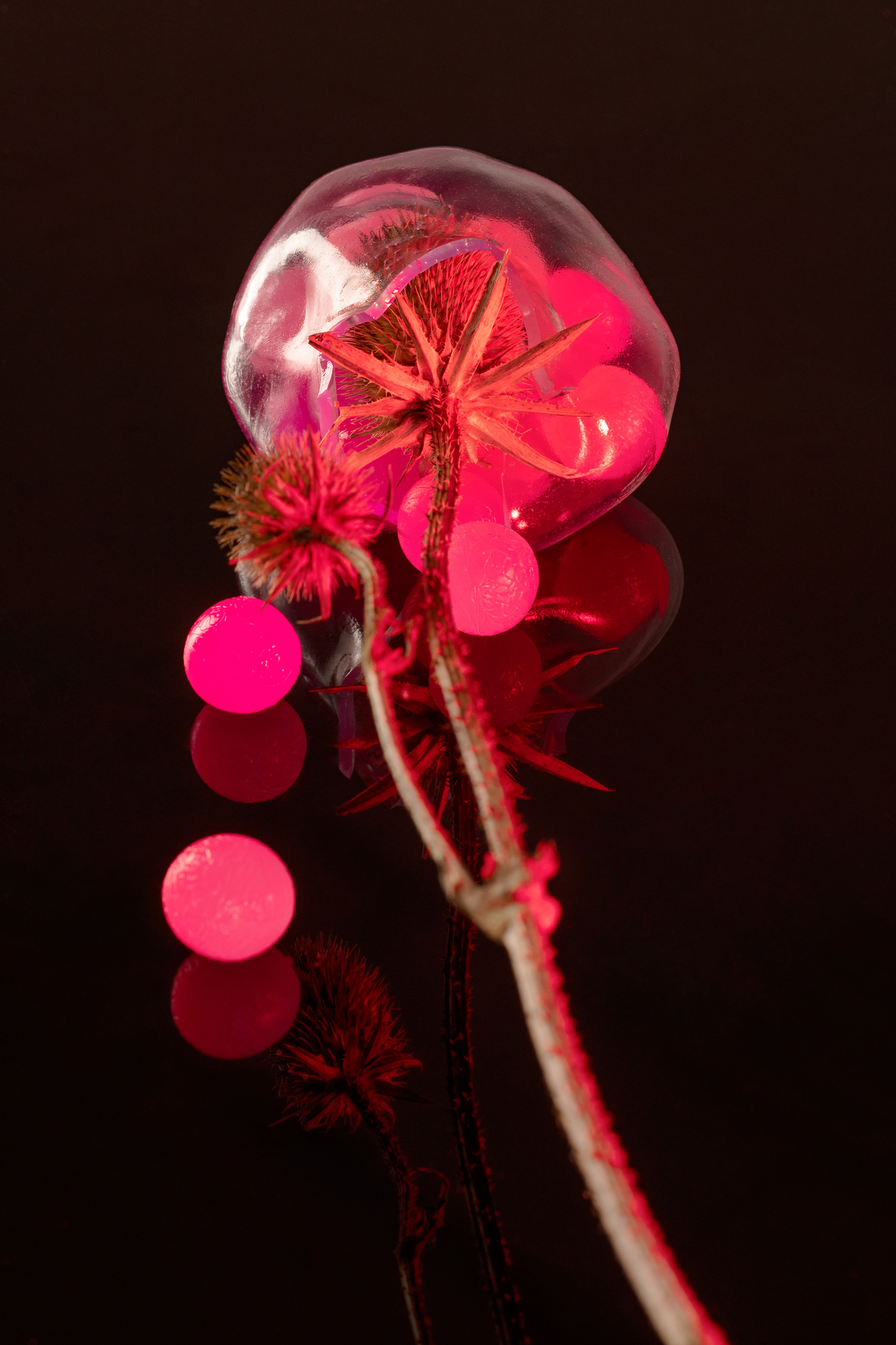 Punctured Embryo -- 2023