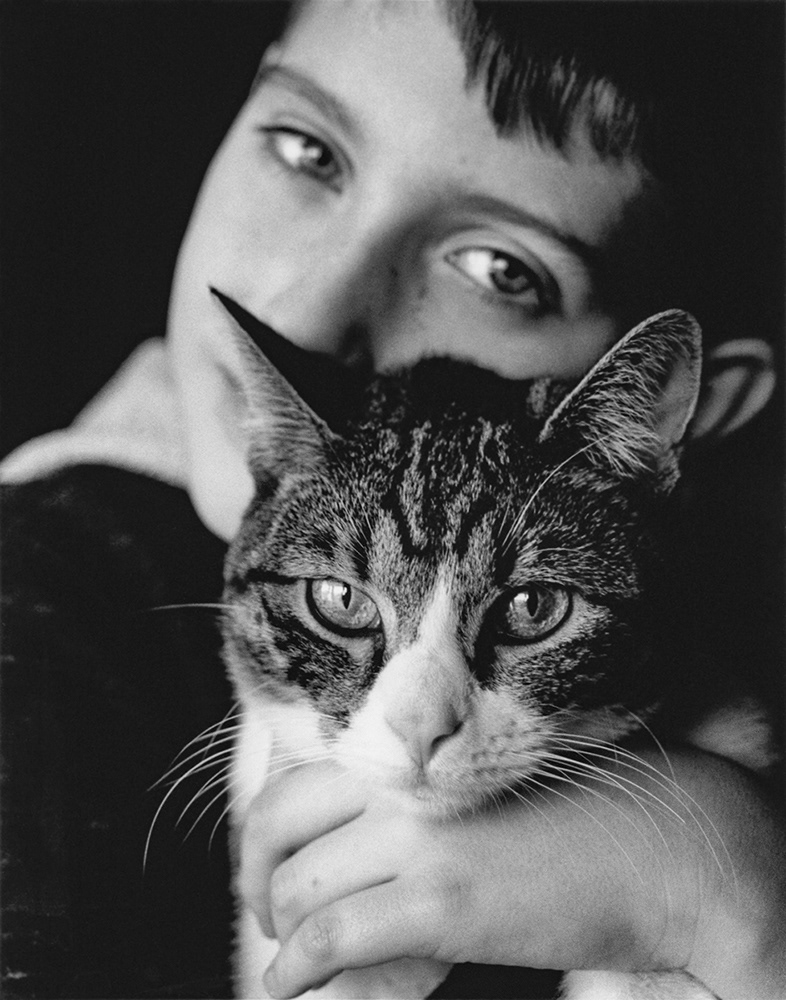 Kitty Love -- 2019