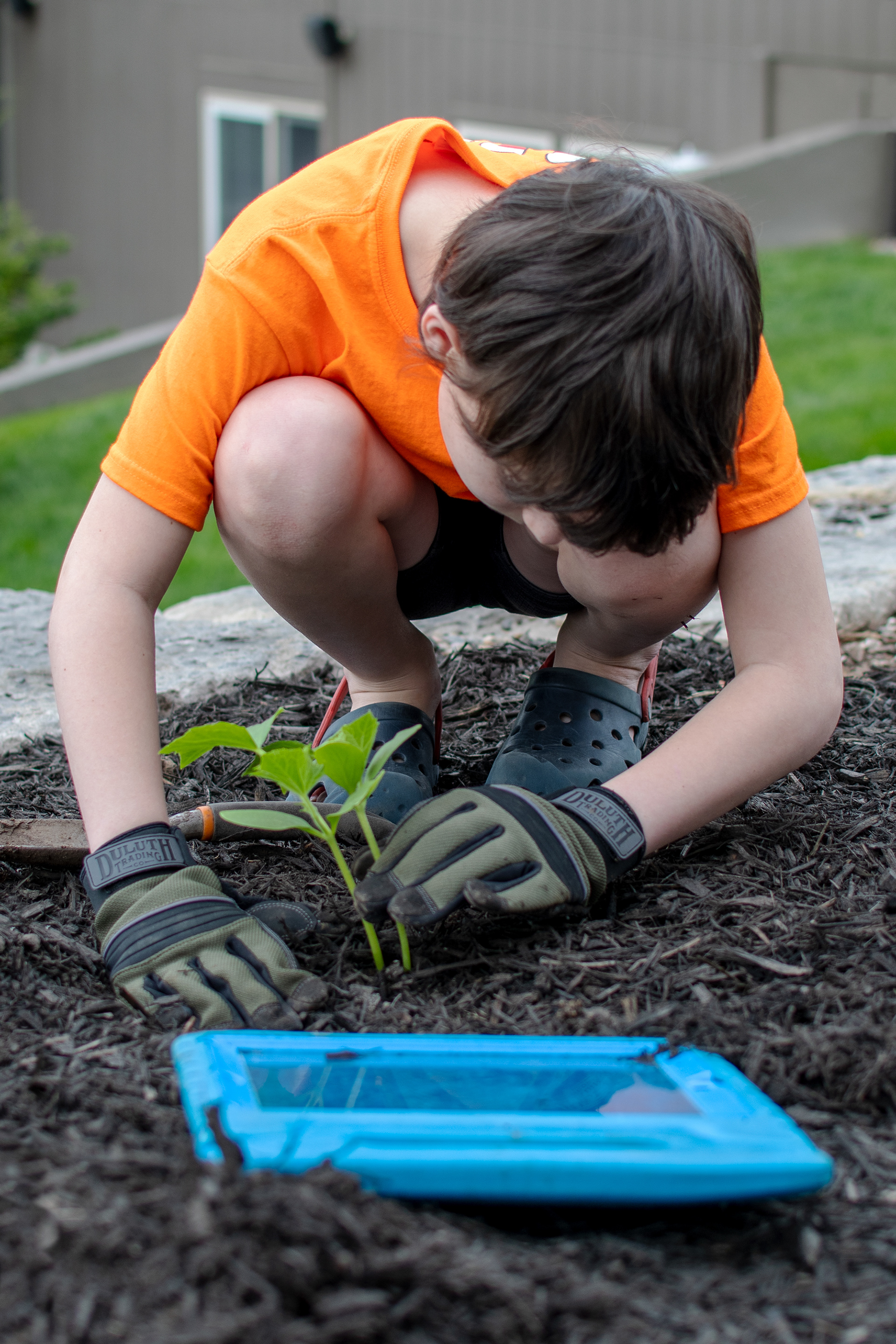 Gardening with iPad 2 -- 2020