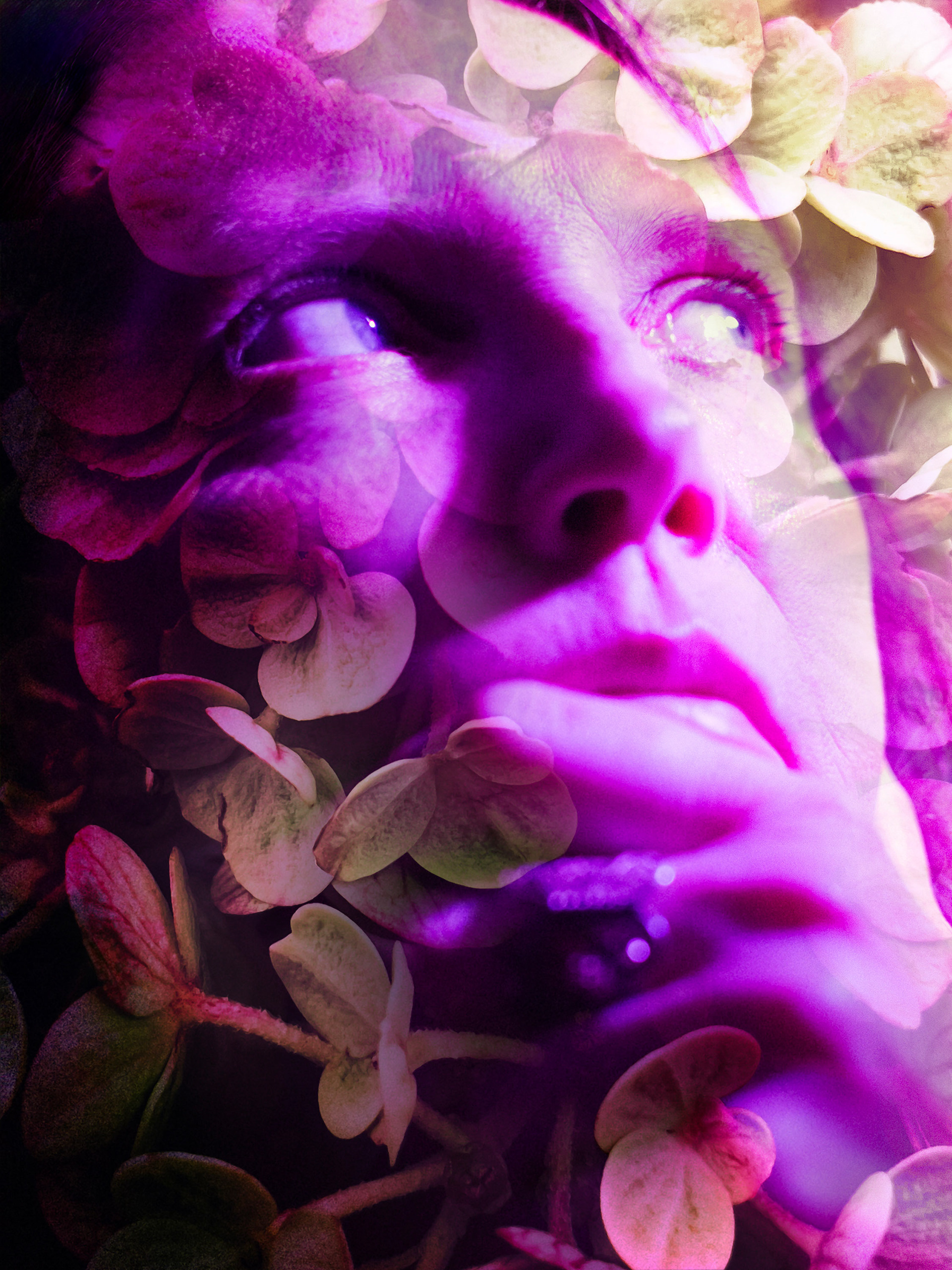 Blossoming -- 2025