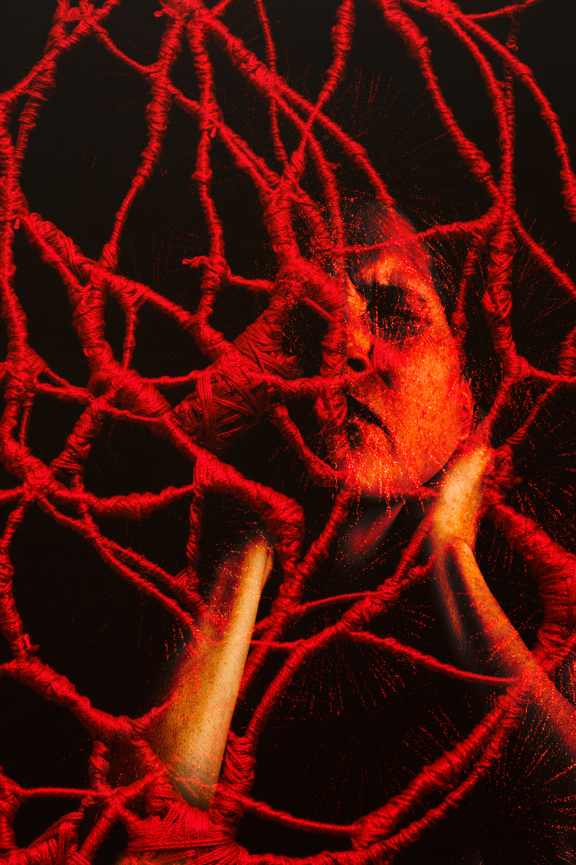 Consumed -- 2024