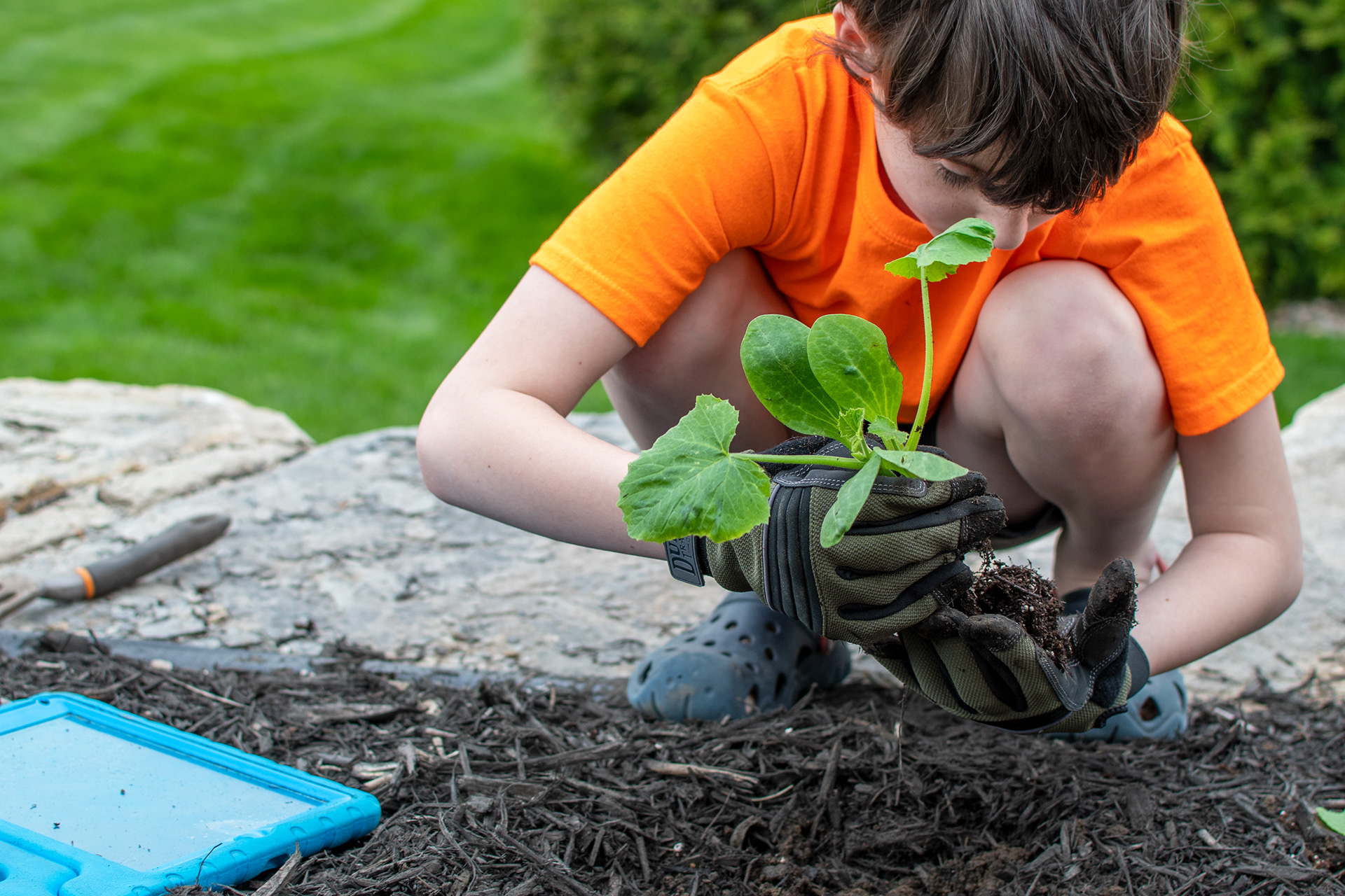Gardening with iPad -- 2020