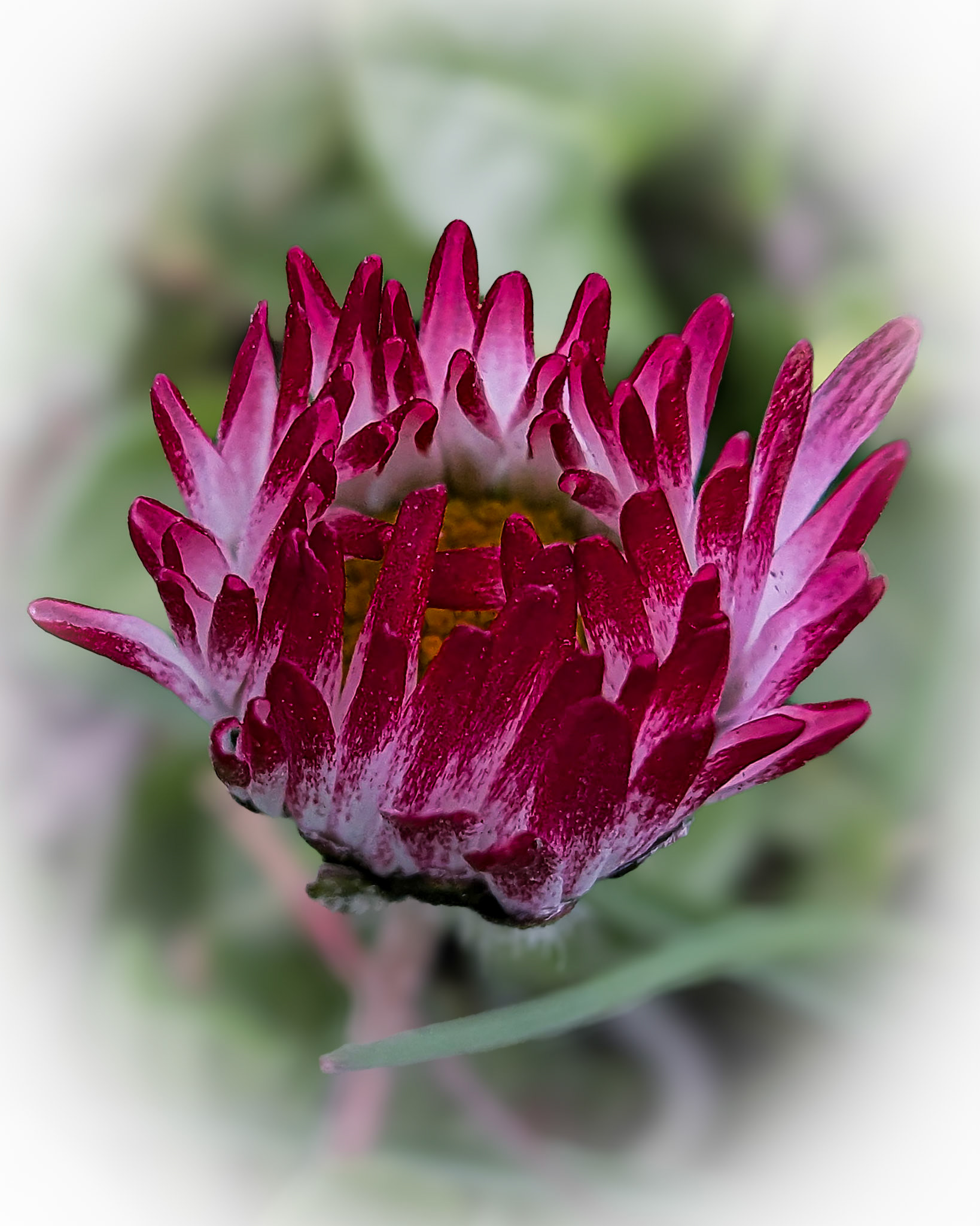 CameraID=3FrameCount=-1configID=lutID=-1lutFilename=nullconfigFilename=configNickname=profileID=-2profileName=DefaultVersion=AGC9.6 V5.0