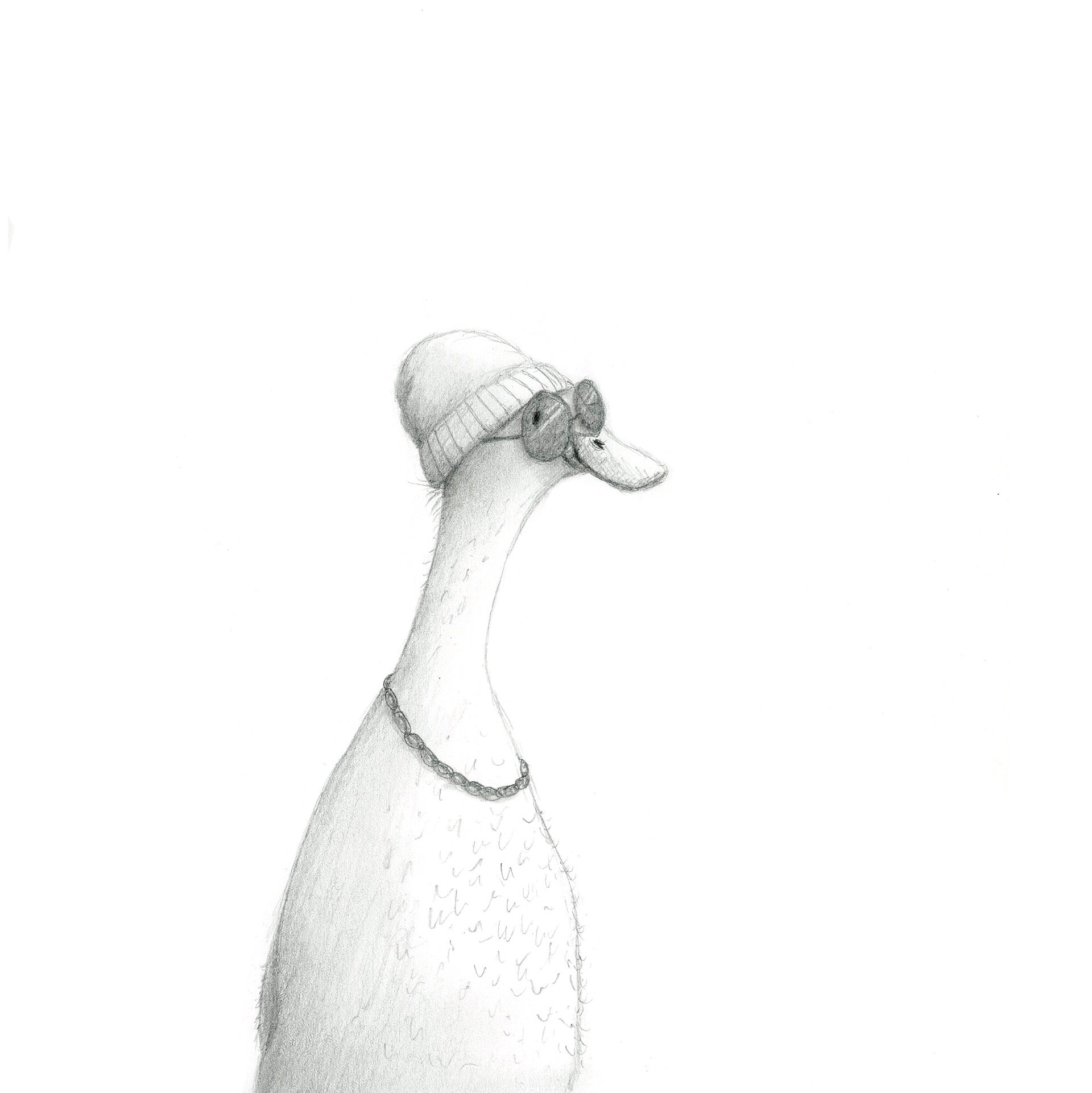 Sketch