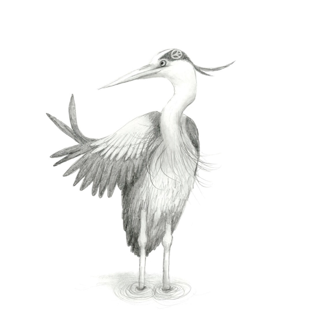 Sketch