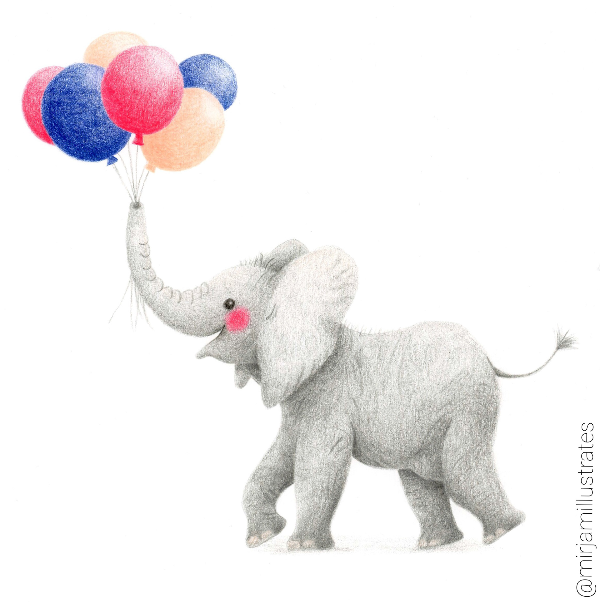 Drawing commission Vrienden van de Olifant