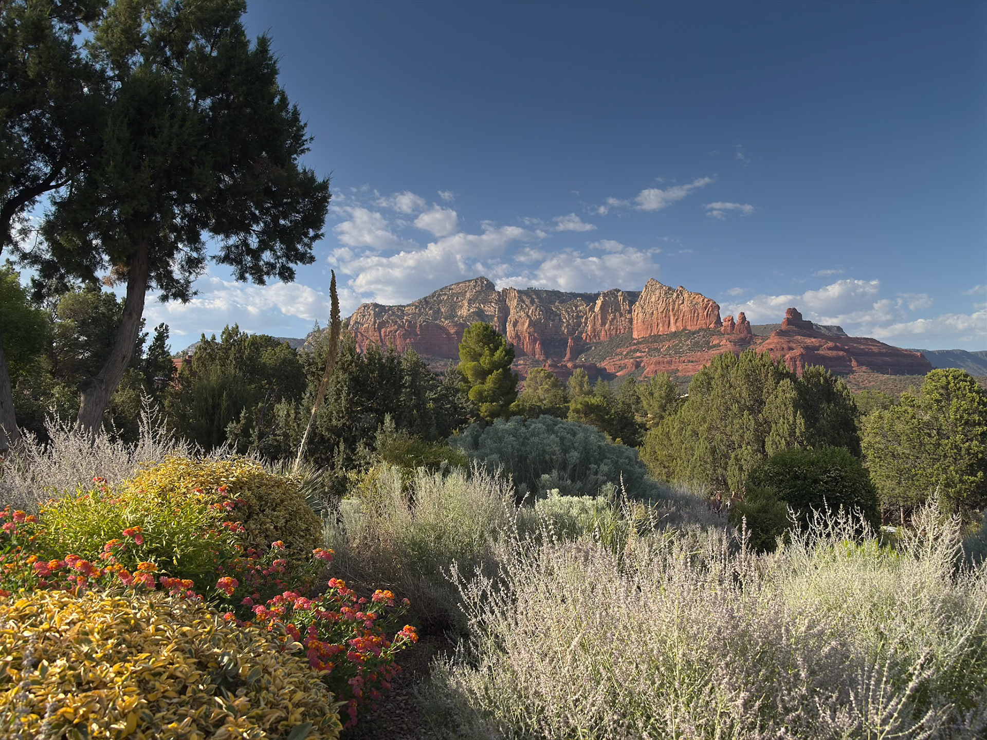 Sedona Garden and Mountain