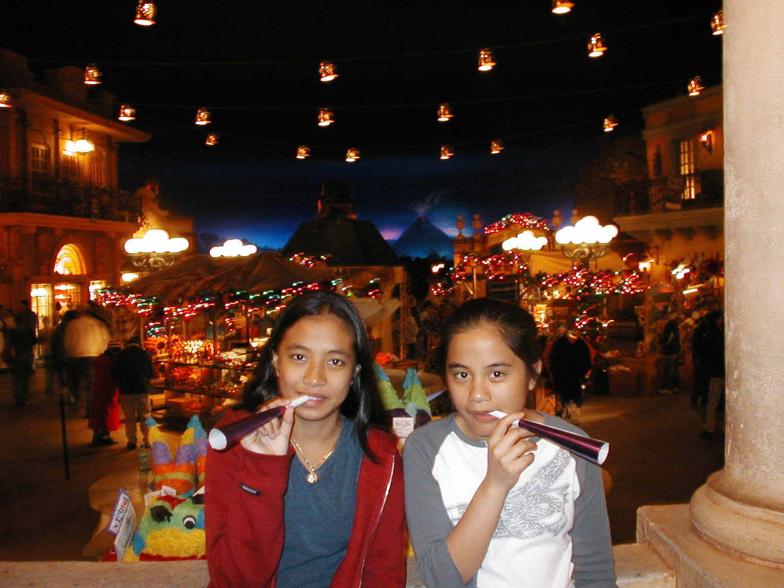 OLYMPUS DIGITAL CAMERA