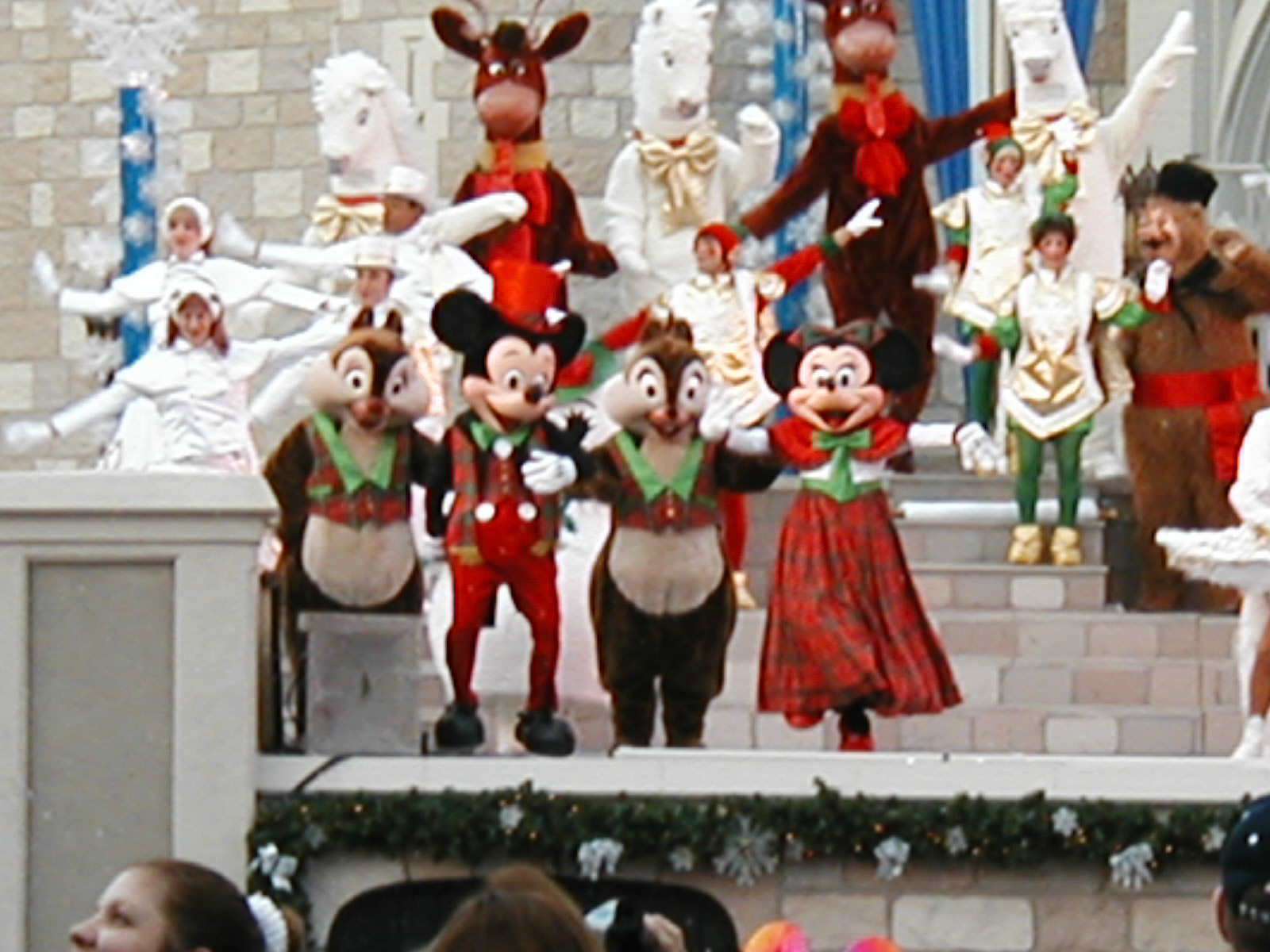 OLYMPUS DIGITAL CAMERA